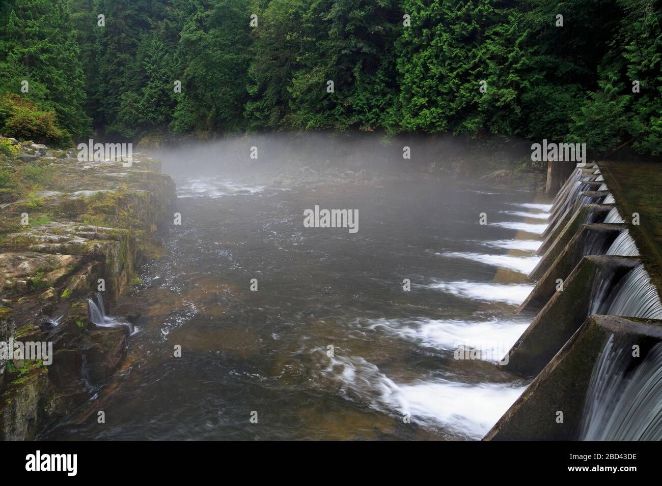 Capilano Salmon Hatchery, Vancouver, British Columbia, Canada Stock
