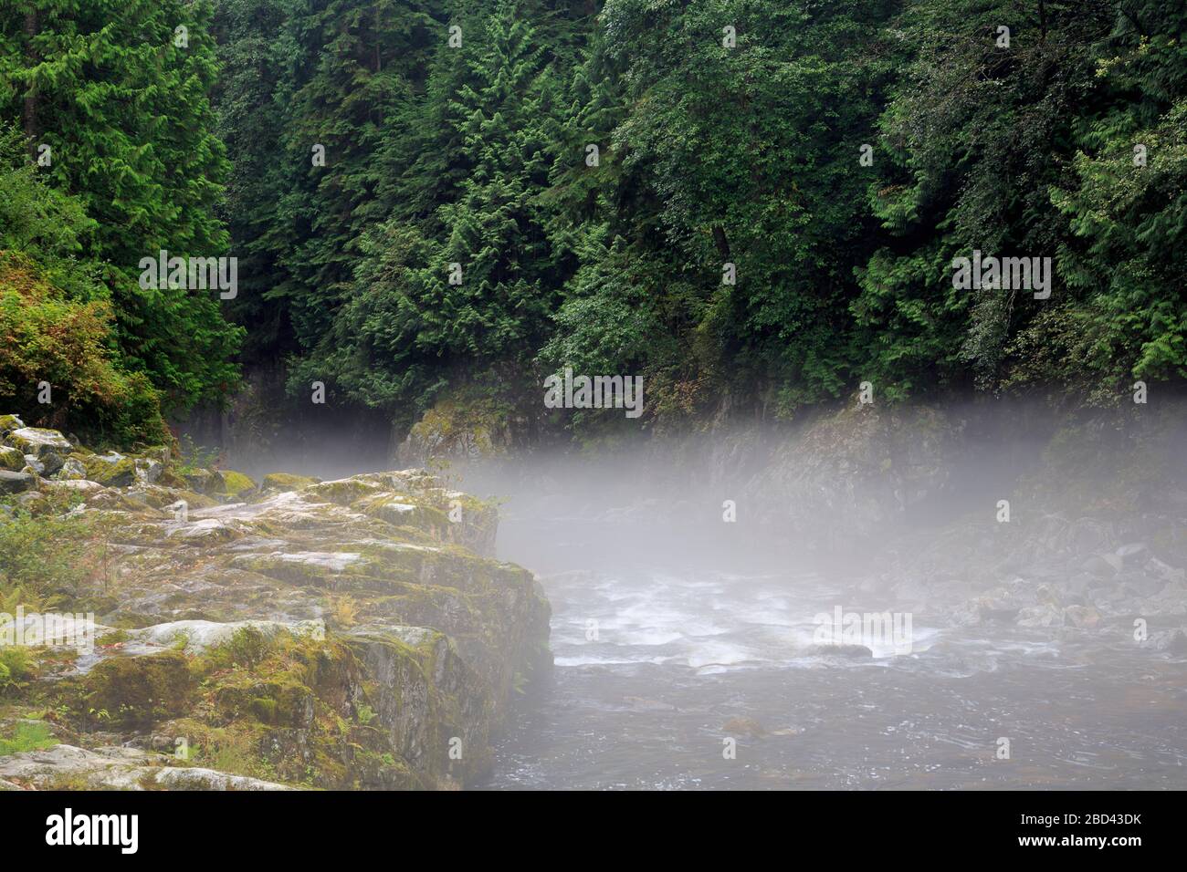 Capilano Salmon Hatchery, Vancouver, British Columbia, Canada Stock