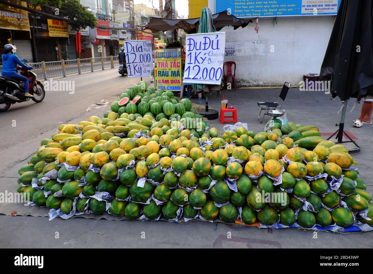 HO CHI MINH CITY, VIET NAM,Many papaya fruits arrangement of floor for sale at outdoor farmer market, agriculture product ready serve for Tet Vietnam Stock Photo