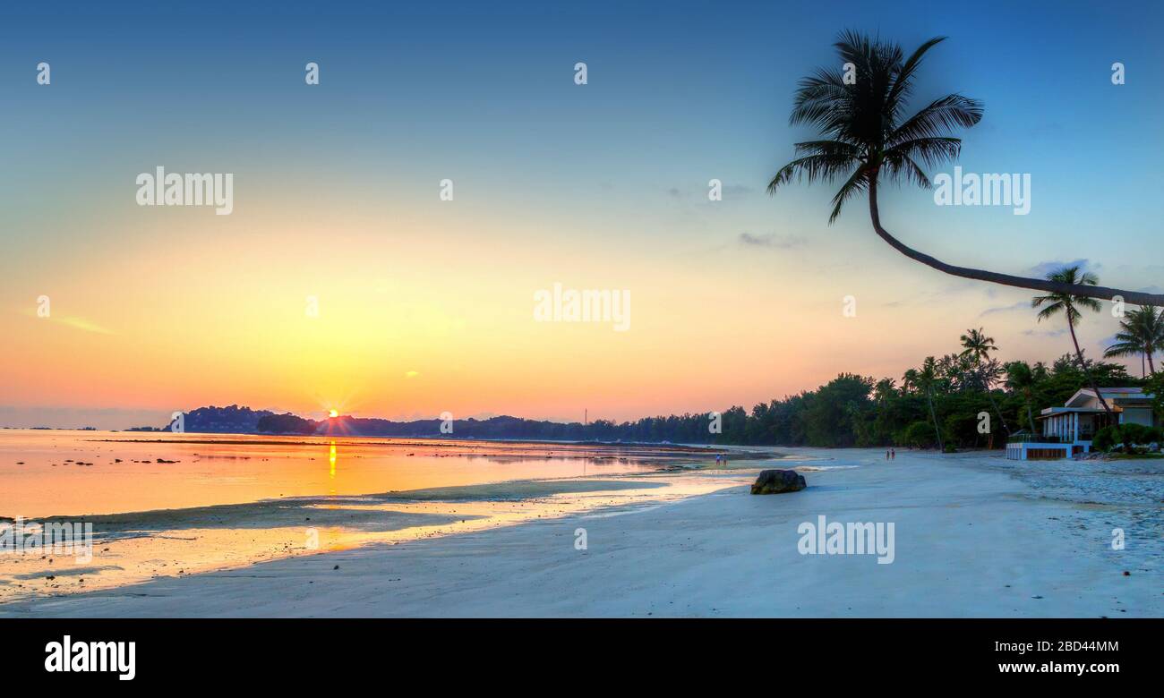 Panorama of a golden tropical beach sunrise on Bintan Island in Indonesia with silhouette of palm trees. Stock Photo