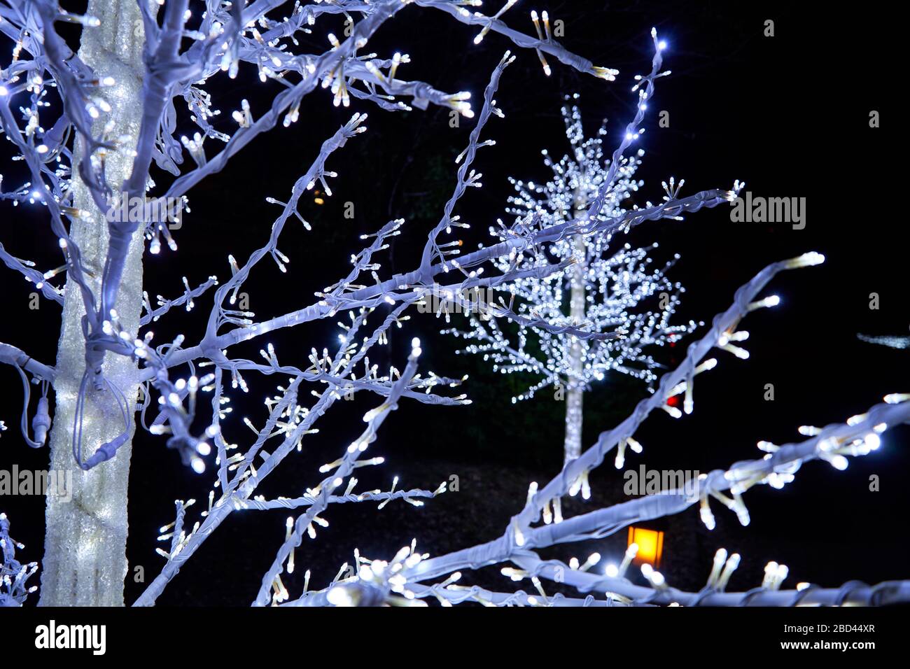 Trees made from LED lights during Christmas time Stock Photo