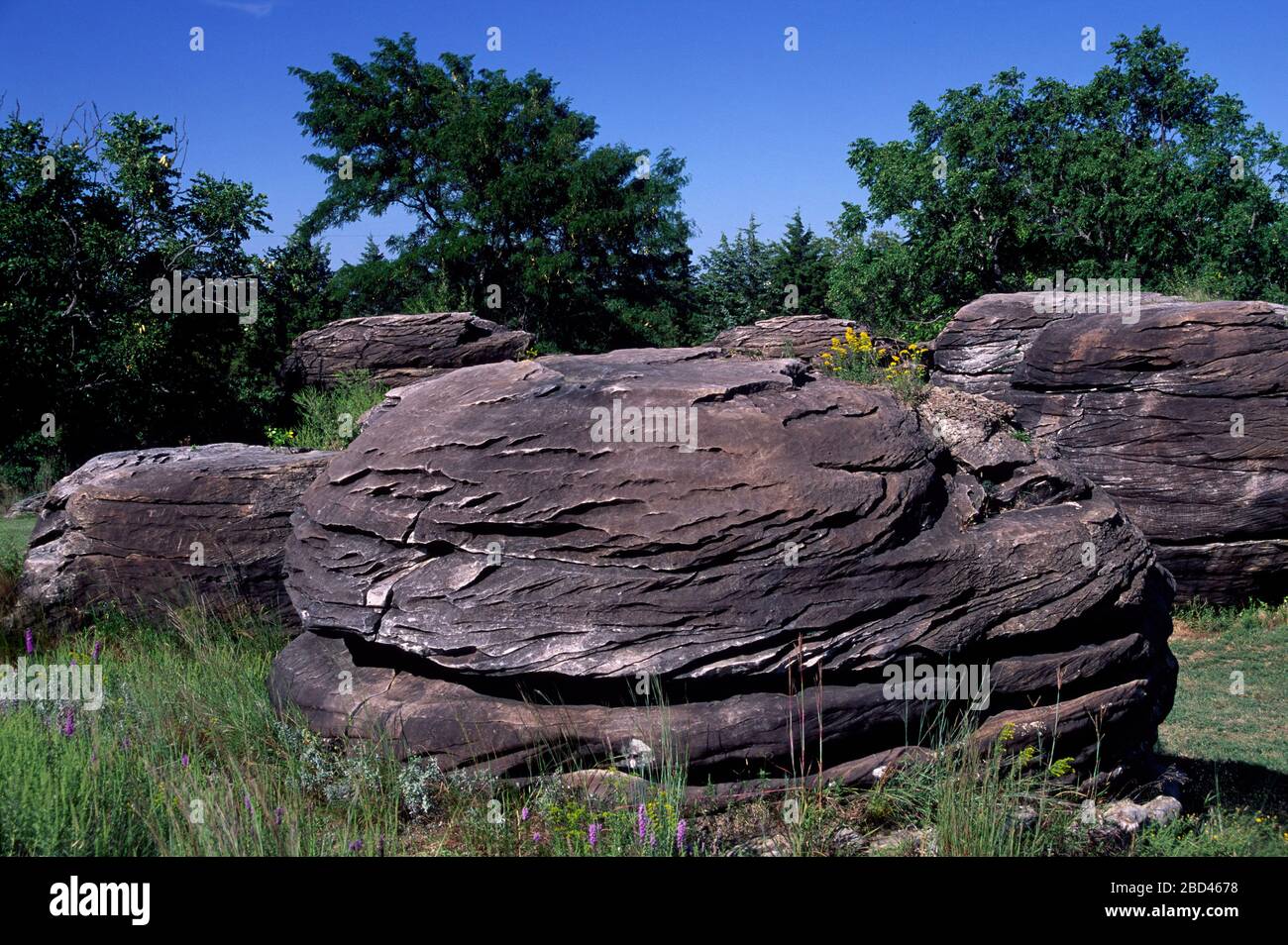 Concretions, Rock City, Ottawa County, Kansas Stock Photo