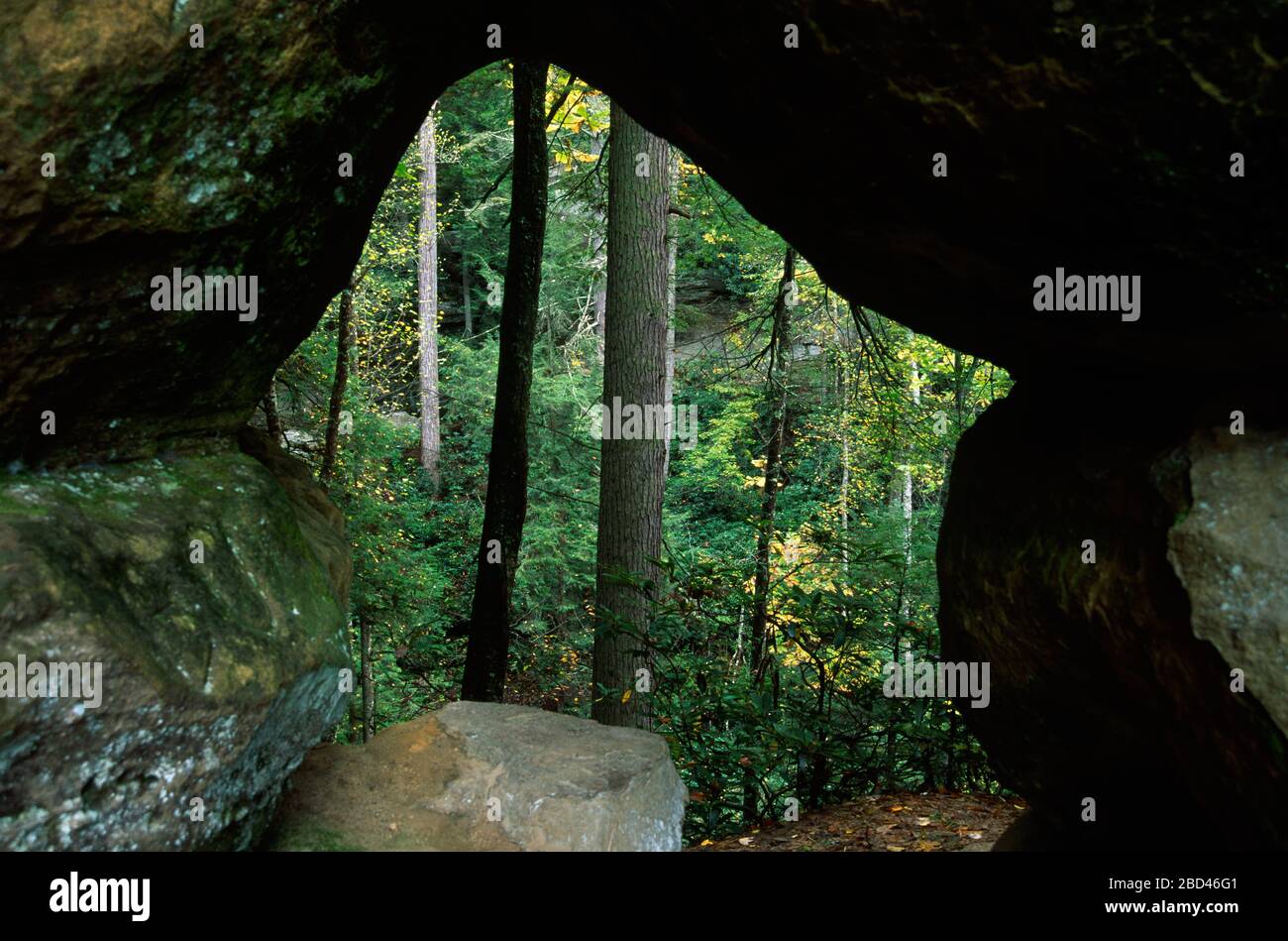 Angel Windows, Red River Geological Area, Daniel Boone National