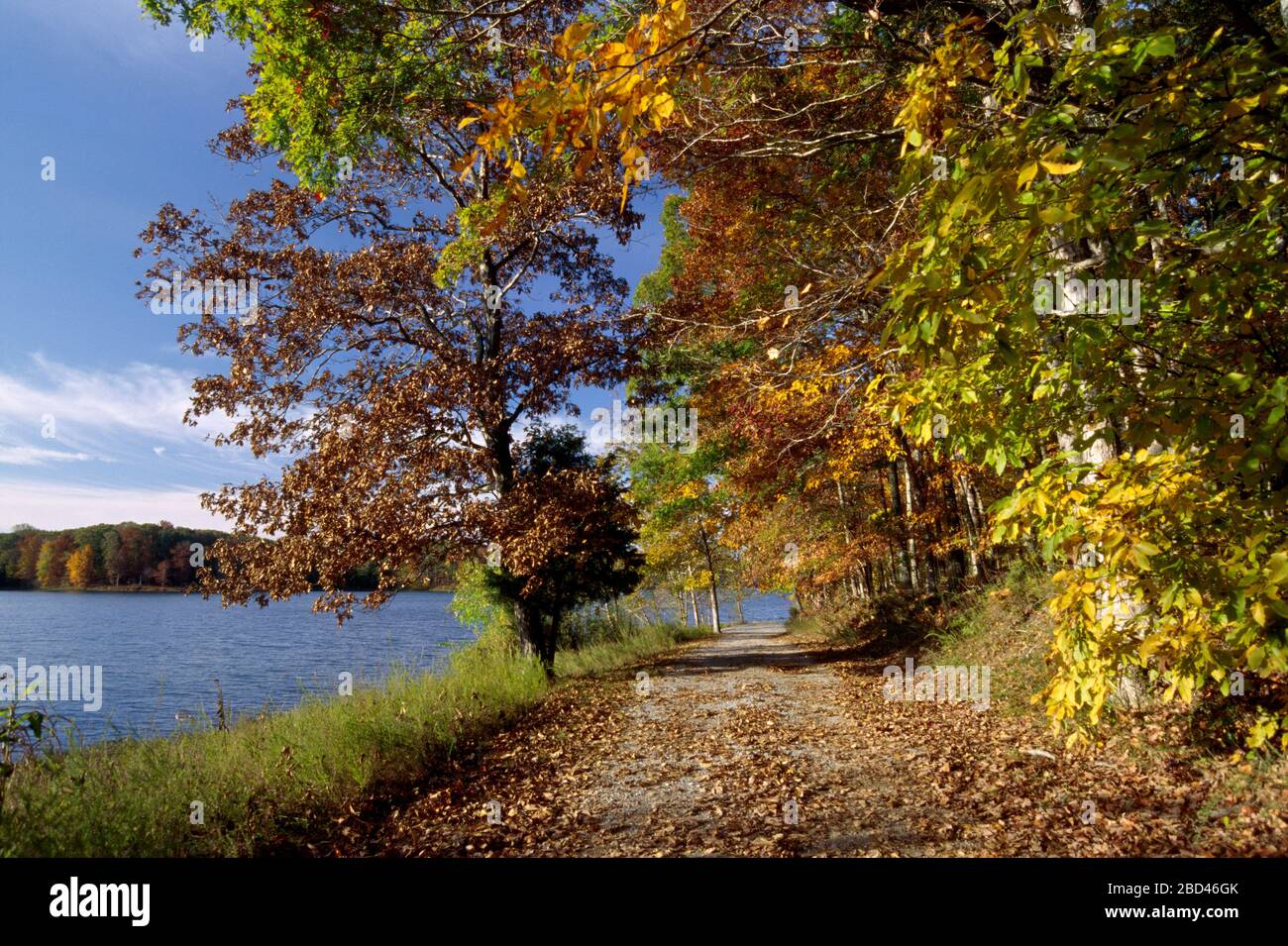Hematite Lake, Land Between the Lakes National Recreation Area