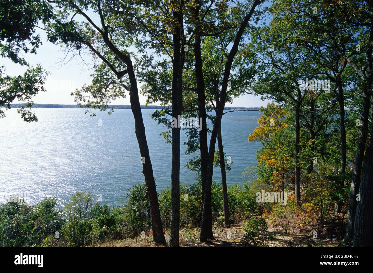 Woodlands trace scenic byway hires stock photography and images Alamy