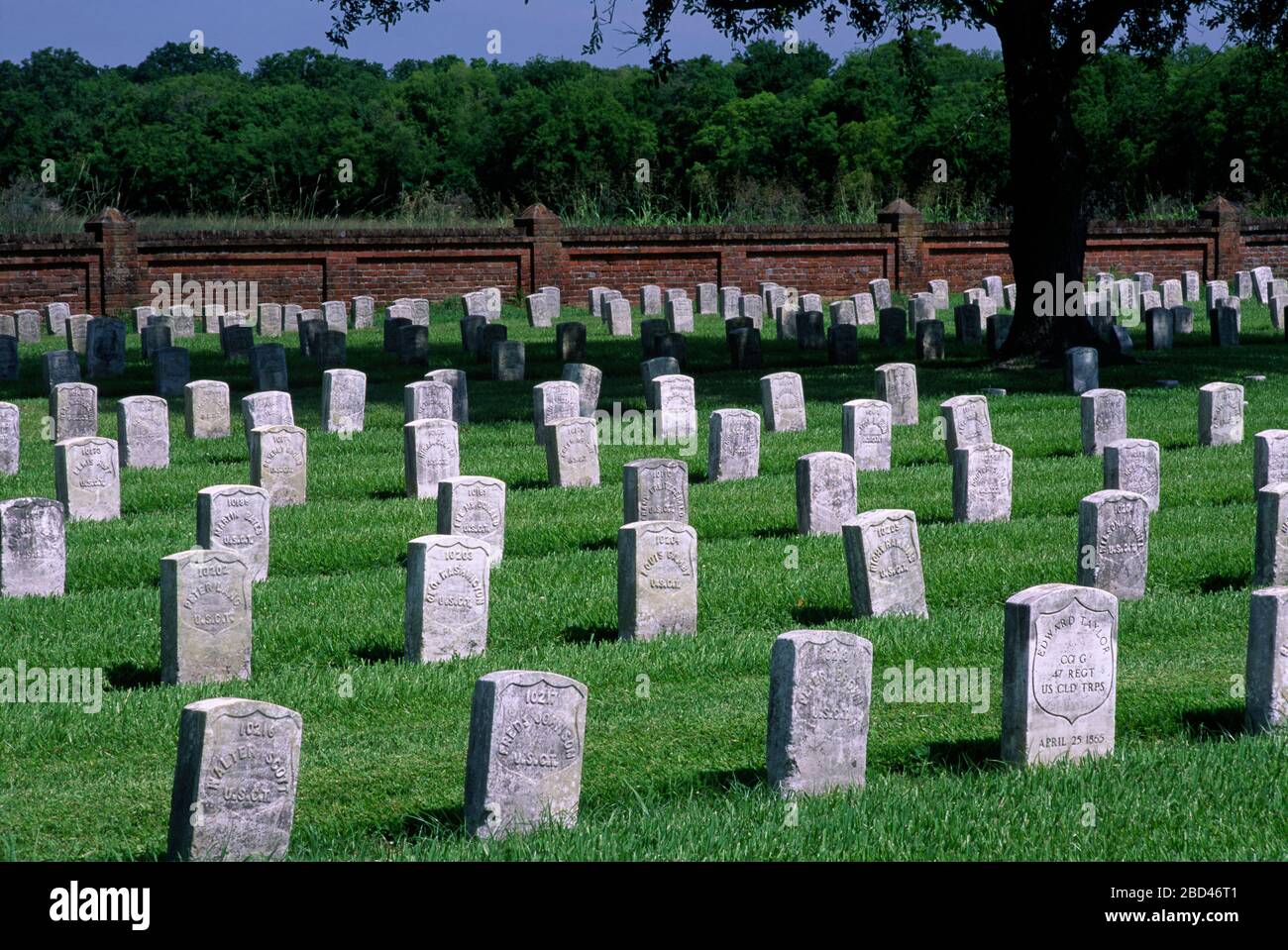 Grave rows, Chalmette National Cemetery, Louisiana Stock Photo Alamy