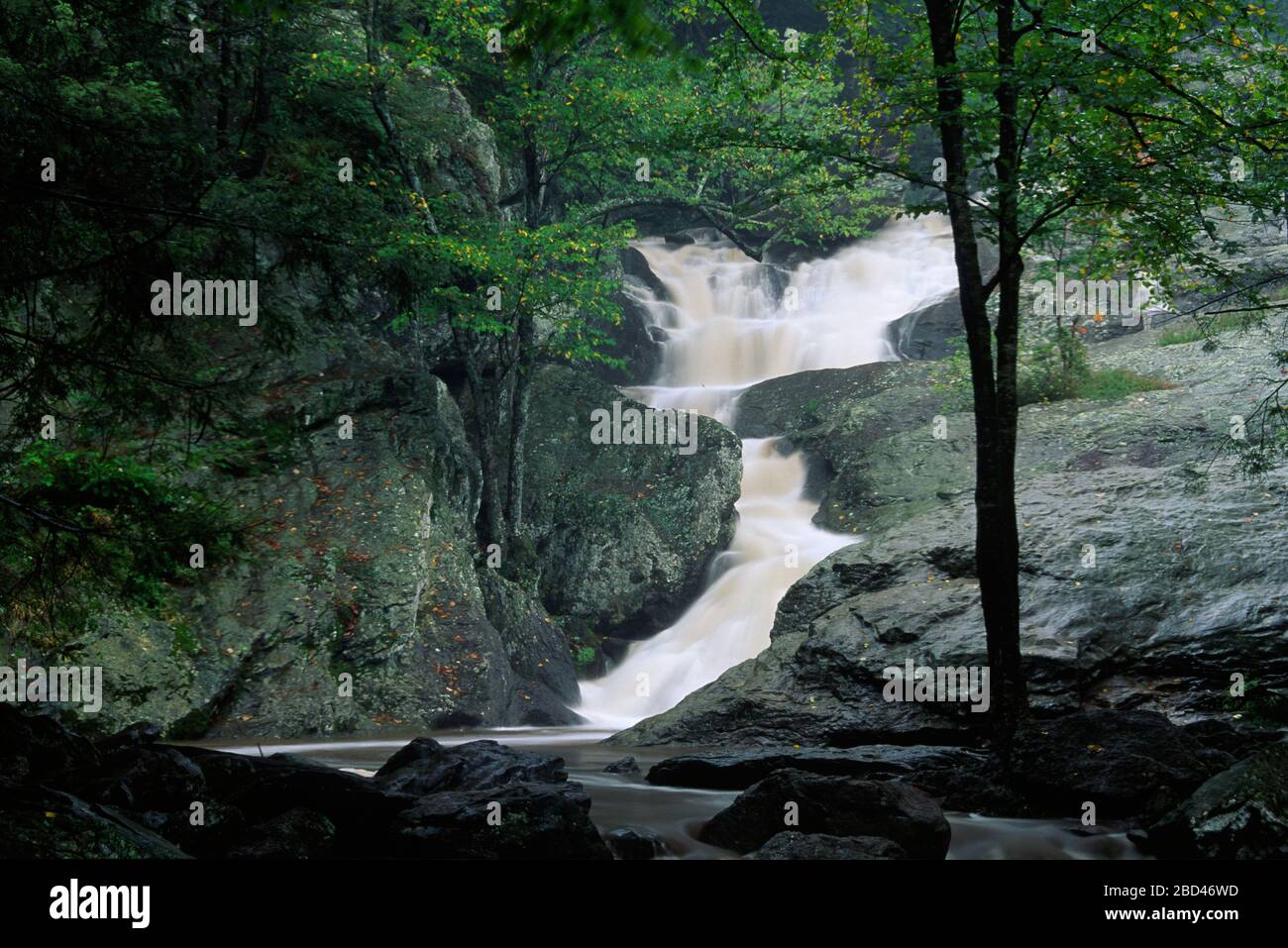 Cunningham Falls, Cunningham Falls State Park, Maryland Stock Photo - Alamy