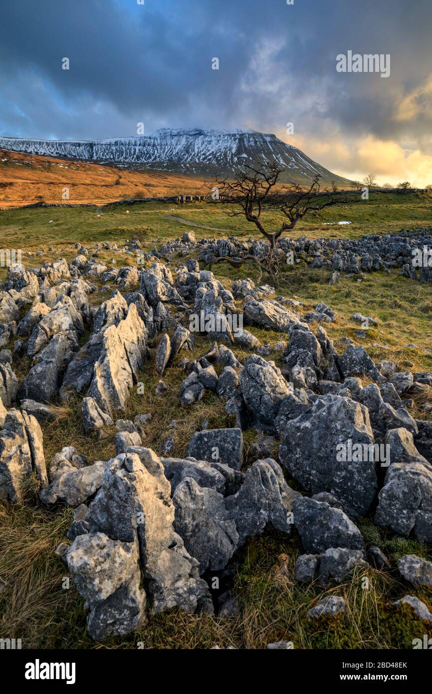 Southerscales in the Yorkshire Dales National Park. Stock Photo