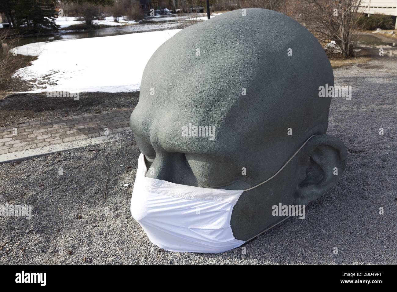 Big Head Sculpture landmark by artist Al Henderson, with white surgical mask, protection for COVID-19 Coronavirus Pandemic. Canmore, Alberta Canada Stock Photo