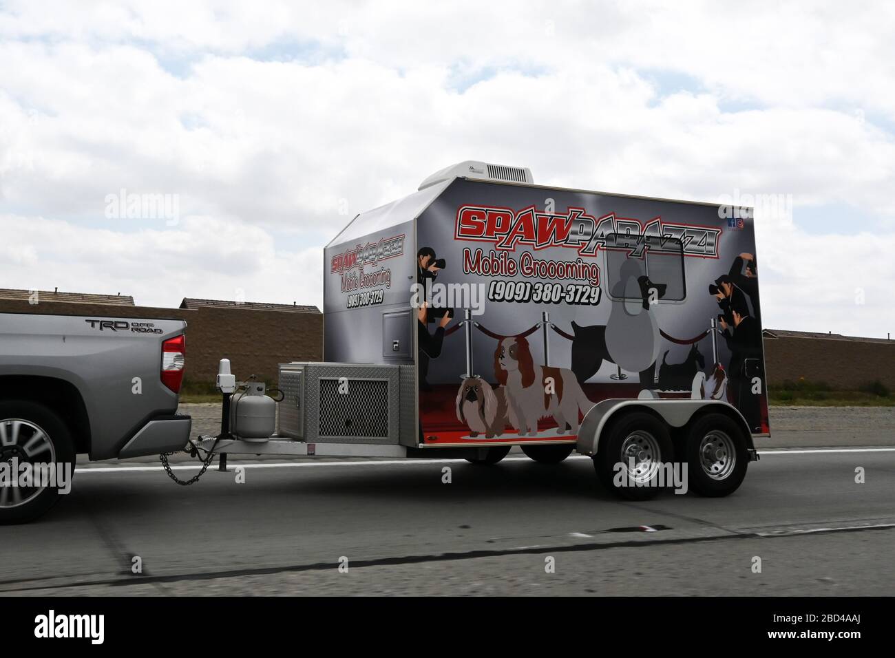 mobile dog spa