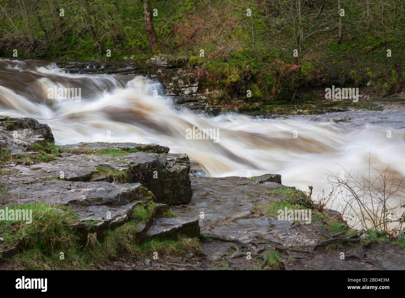 Stainforth Force waterfall in the Yorkshire Dales National Park Stock