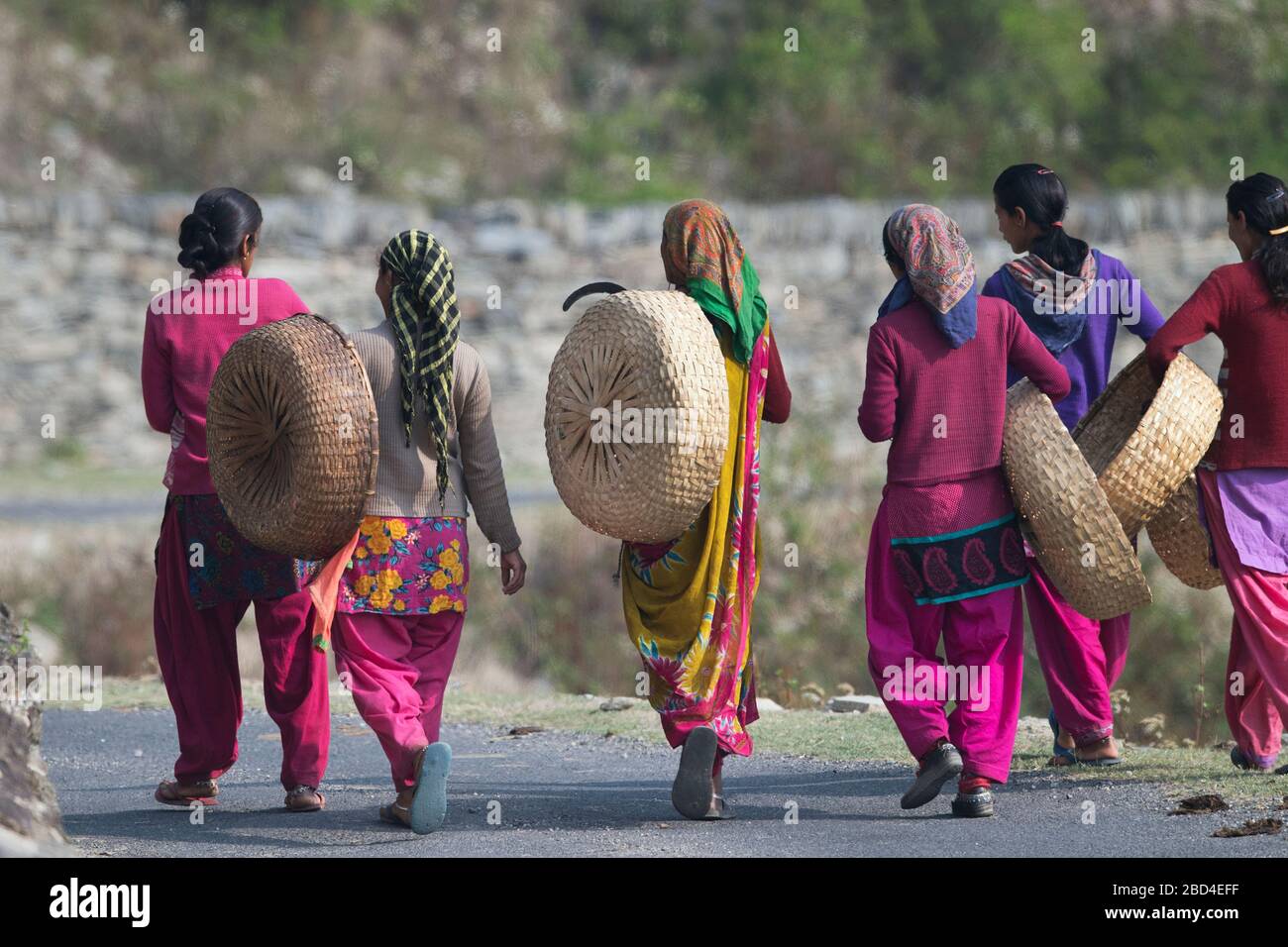 The image of Local village ladies in Sitlakhet, Almora in Kumaon, Uttaranchal, India, Asia Stock Photo