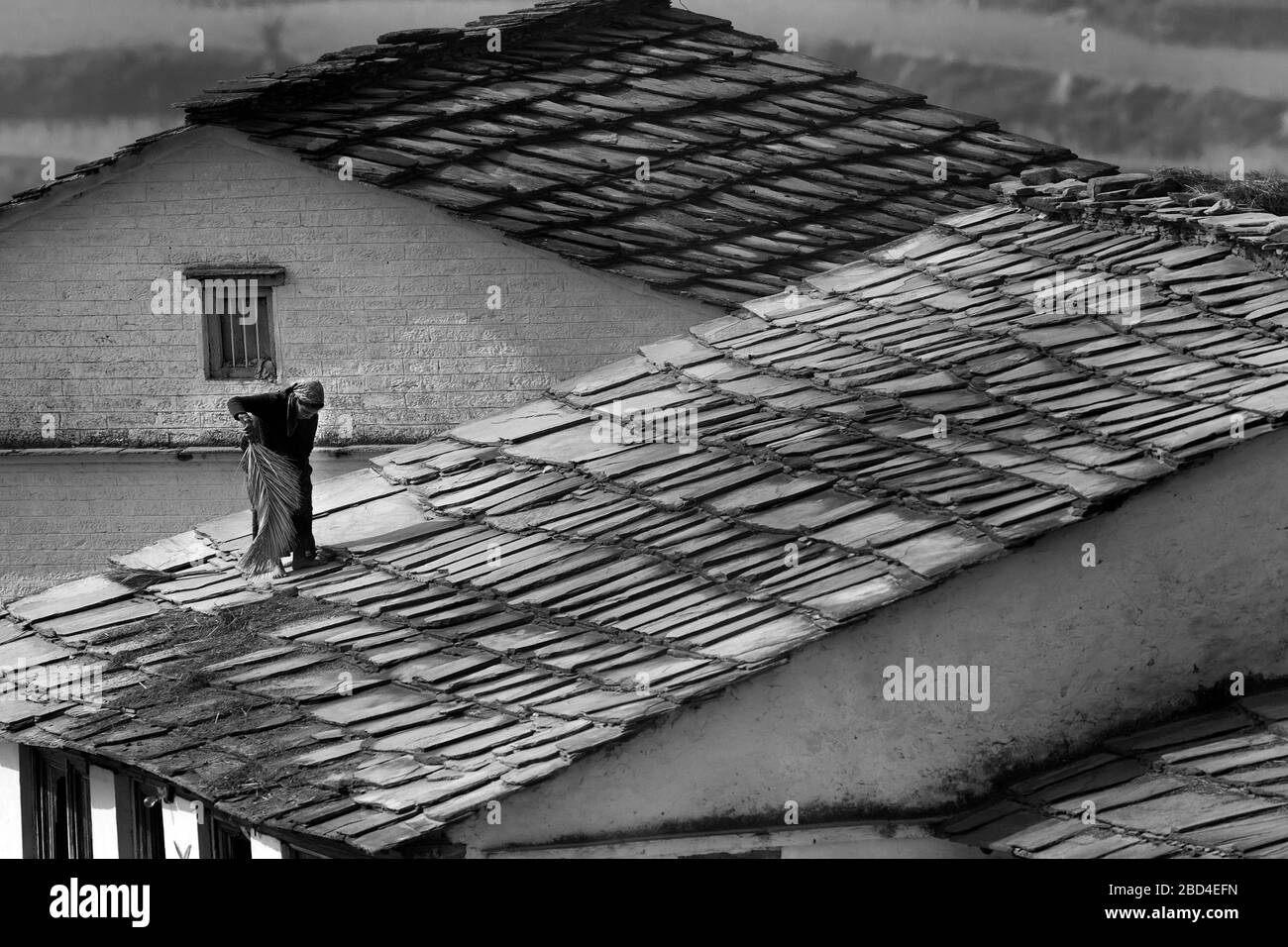 The image of Local village lady on the house roof in Sitlakhet, Almora in Kumaon, Uttaranchal, India, Asia Stock Photo