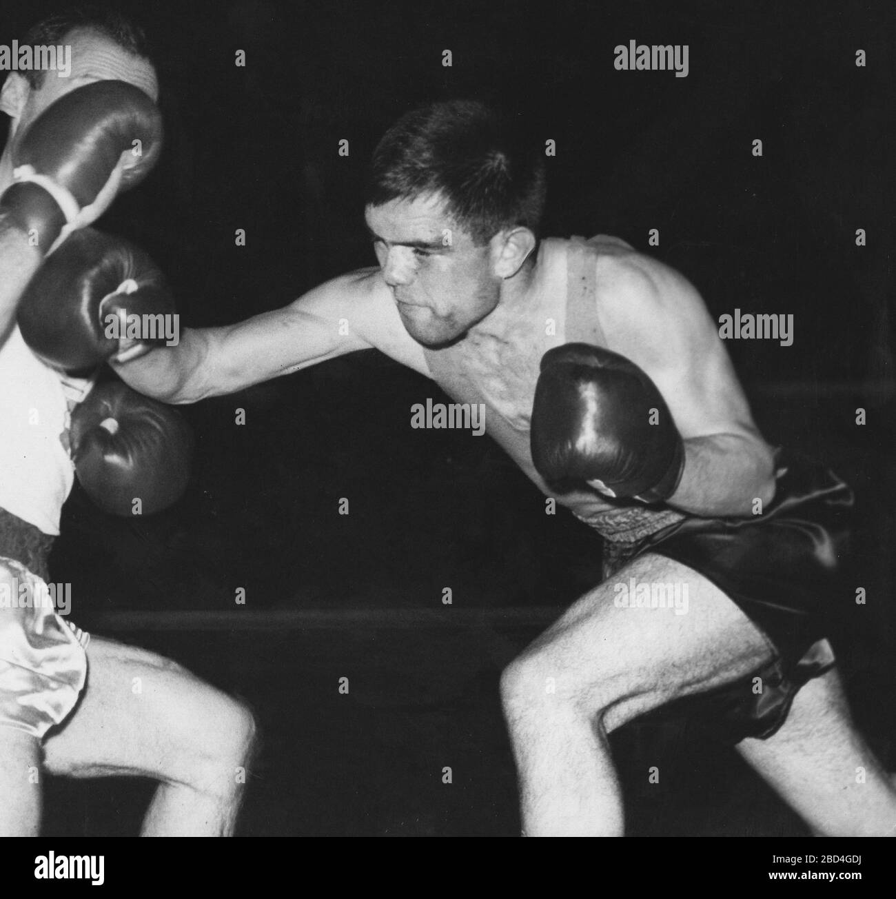 Bantamweight hires stock photography and images Alamy