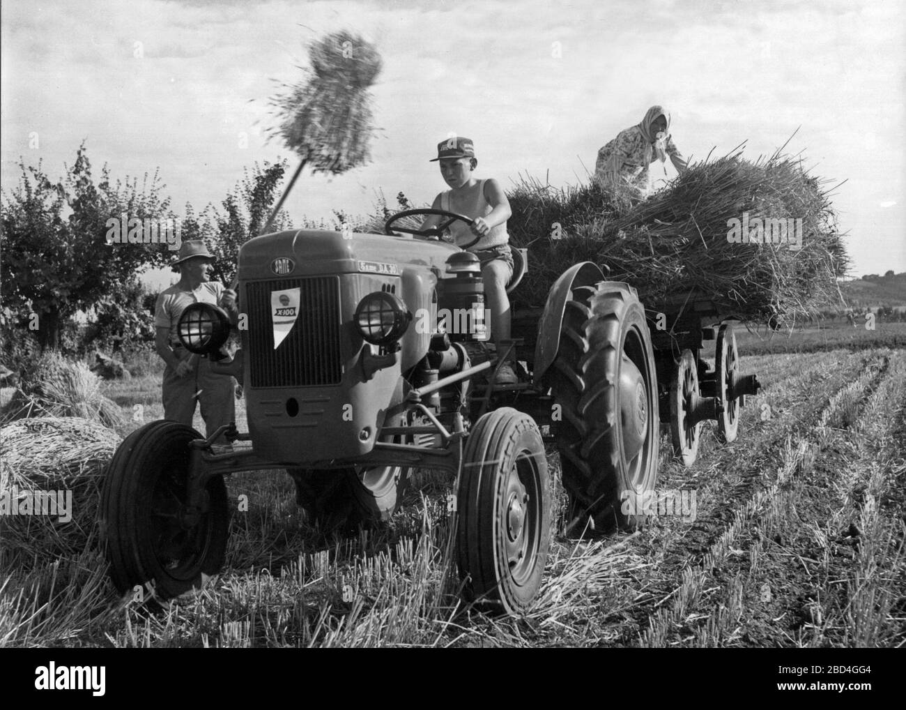 Farmers working in a field and using a Same DA 30 Tractor - Cassani da30 ca. 1950s - 1970s / Società Accomandita Motori Endotermici Stock Photo