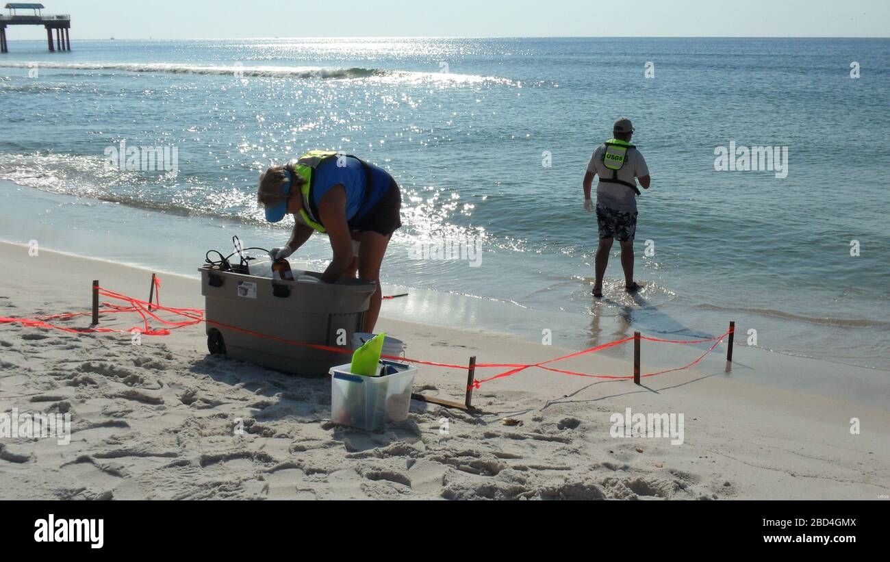 U.S. Geological Survey (USGS) scientists collected environmental data and samples in coastal areas affected by the 2010 Deepwater Horizon oil spill in the Gulf of Mexico.  Samples of water, sediments, benthic invertebrates, and microorganisms were collected by the USGS at beach, barrier island, and wetland environments of the Gulf of Mexico coastal states before and after petroleum-associated product arrived on shore. In this photo, scientists Darlene Blum and Terry Petrosky from the USGS Florida Science Center prepare to collect samples at Orange Beach, Alabama (USGS Sampling Site AL-7). Stock Photo