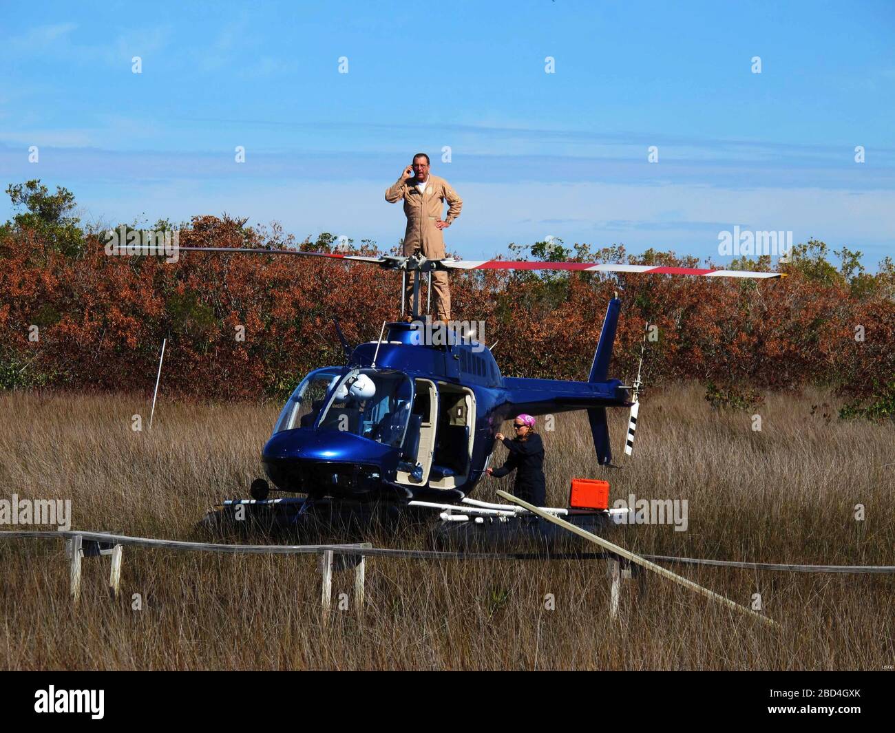 A helicopter pilot improves his cellphone reception while an eco-hydrologist  loads gear at a remote site in Everglades National Park ca. 2010 Stock Photo