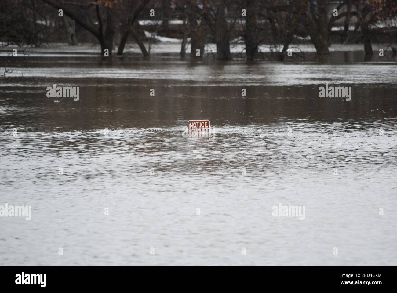 Traffic sign submerged in floodwater from Red River of the North at Moorhead, MN. Photo taken at 2nd Ave and 3rd St, Moorhead, MN Stock Photo