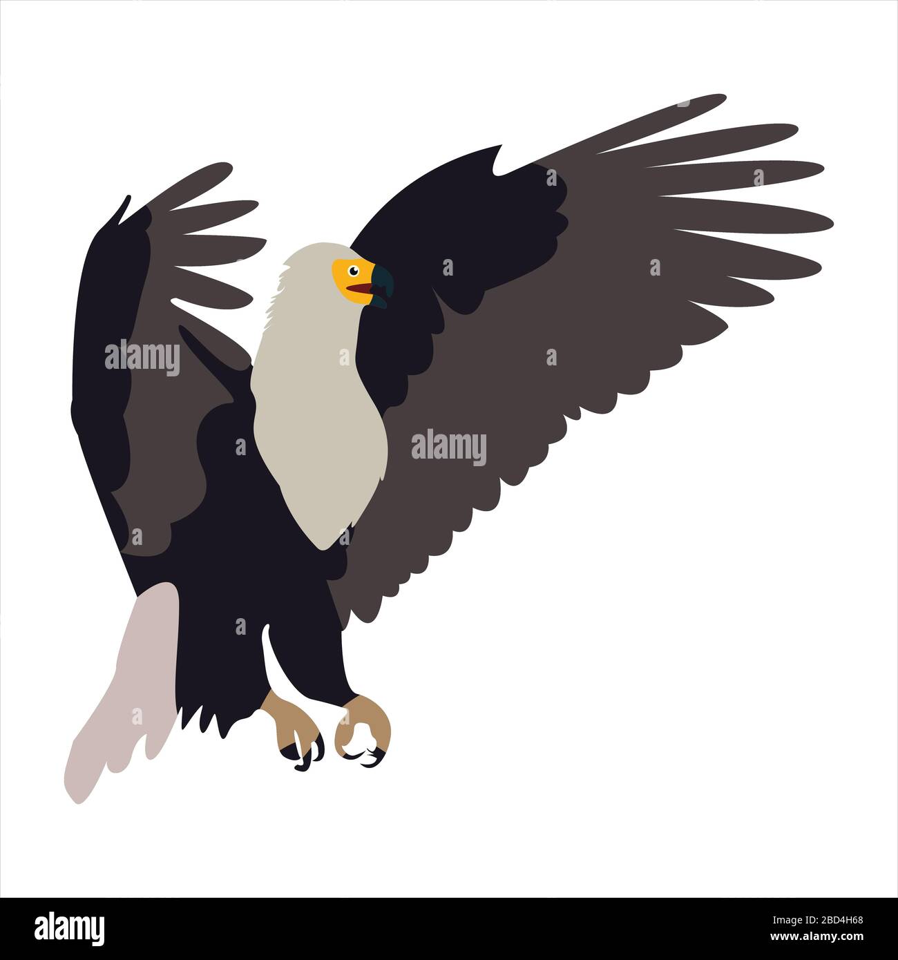 Cute animal eagle clip art bird illustration cartoon character Stock Vector  Image & Art - Alamy