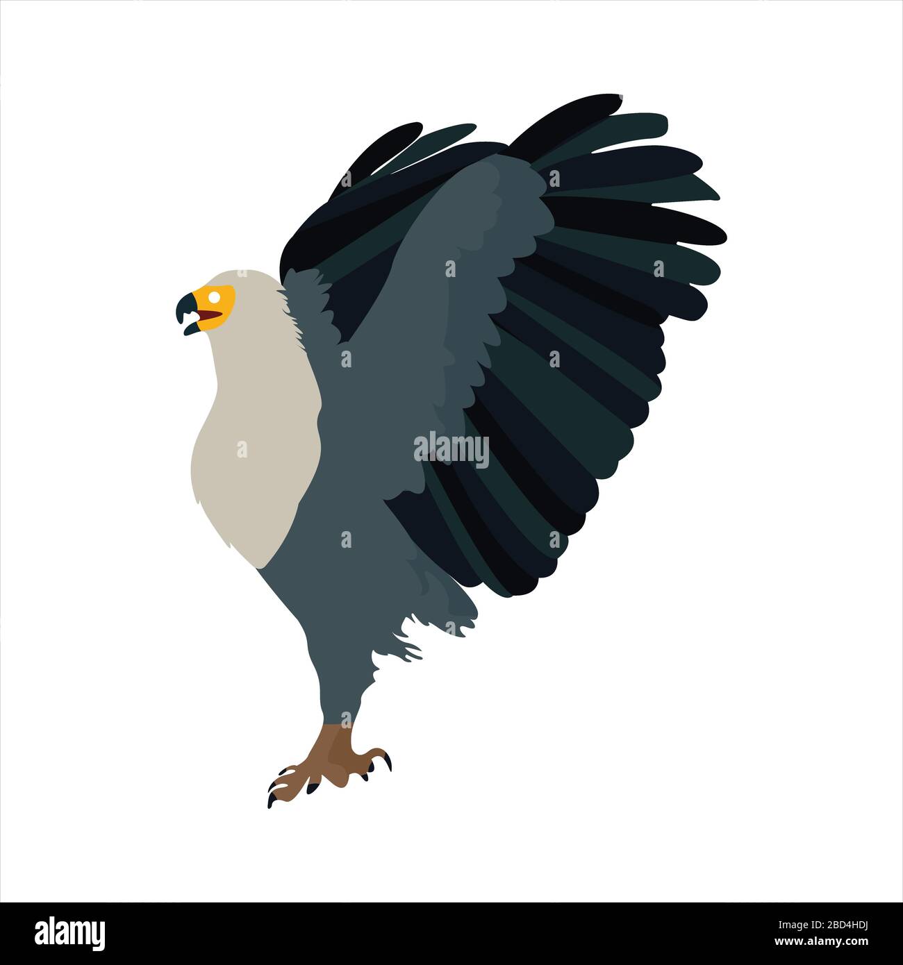 Cute animal eagle clip art bird illustration cartoon character Stock Vector Image & Art - Alamy Cute animal eagle clip art bird illustration cartoon character Stock Vector Image & Art - Alamy