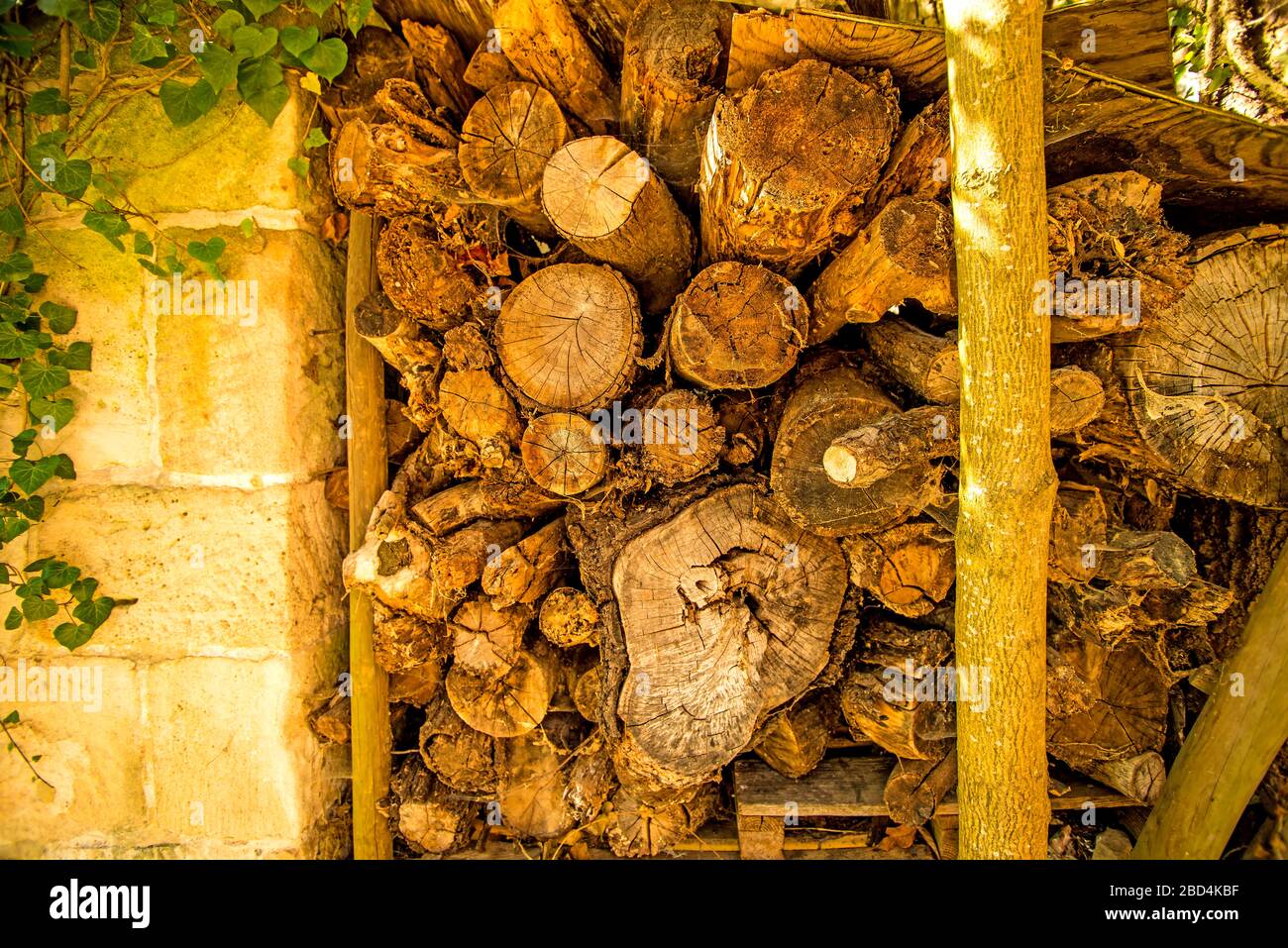fuelwood stock at an old abbey wall Stock Photo Alamy