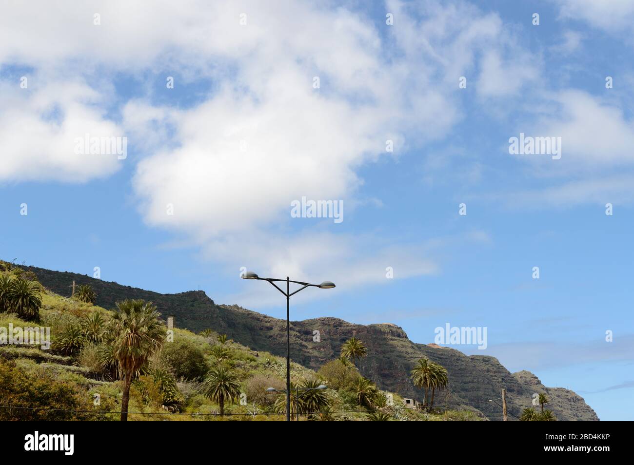Palm Trees Hanging From The Side Of A Mountain On La Gomera. April 15, 2019. La Gomera, Santa Cruz de Tenerife Spain Africa. Travel Tourism Photograph Stock Photo