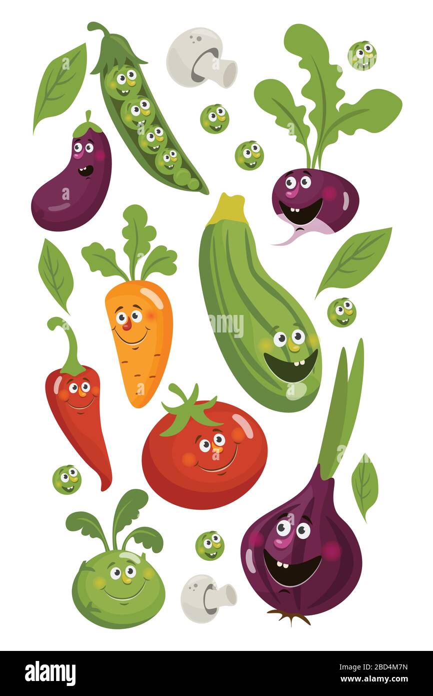 Fresh veggies chilli pepper, cucumber, carrot, garlic, eggplant and onion, zucchini, radish and tomato Stock Vector