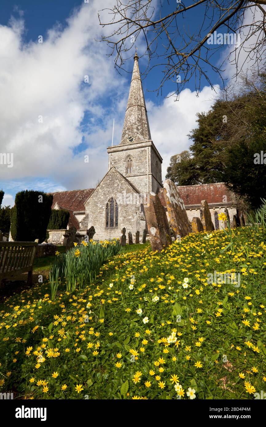Celandines, primroses and daffodils in the churchyard of St. Margaret of Antioch Church in