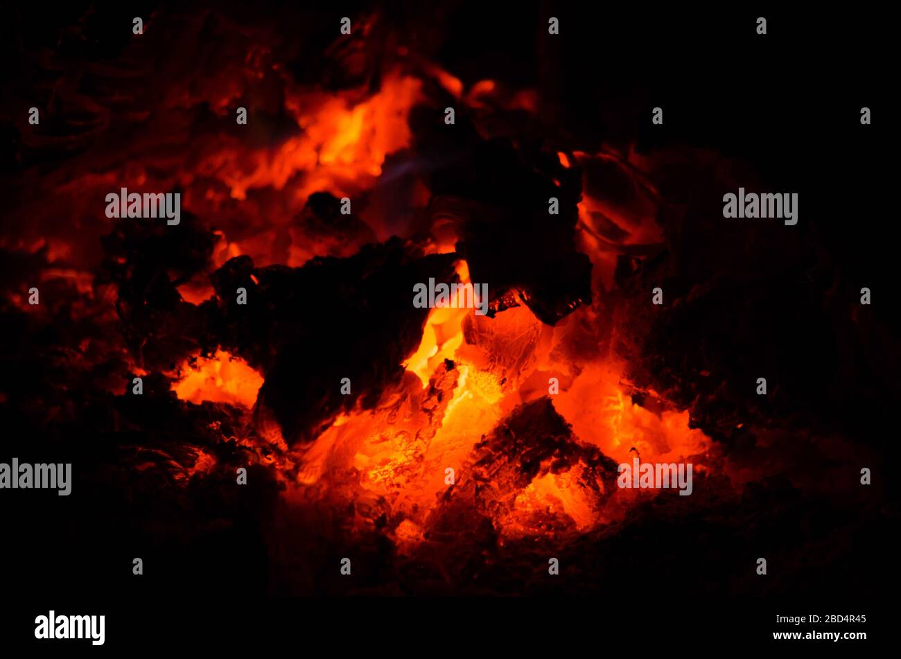 the bonfire is burning firewood in forest Stock Photo - Alamy