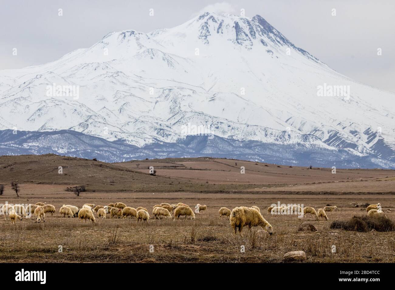 Scene from Cappadocia in Turkey Stock Photo - Alamy