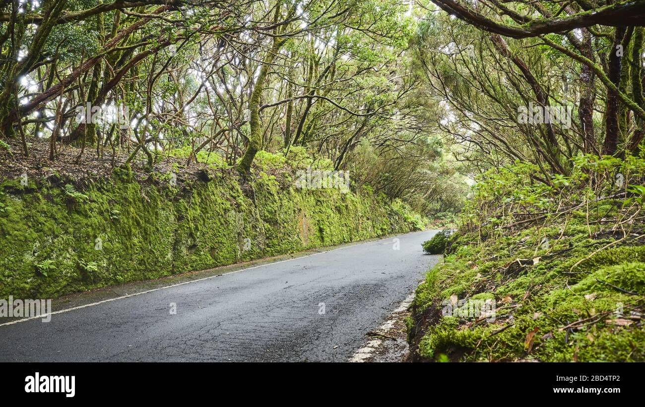 Road in Macizo de Anaga UNESCO biosphere reserve, Tenerife, Spain. Stock Photo