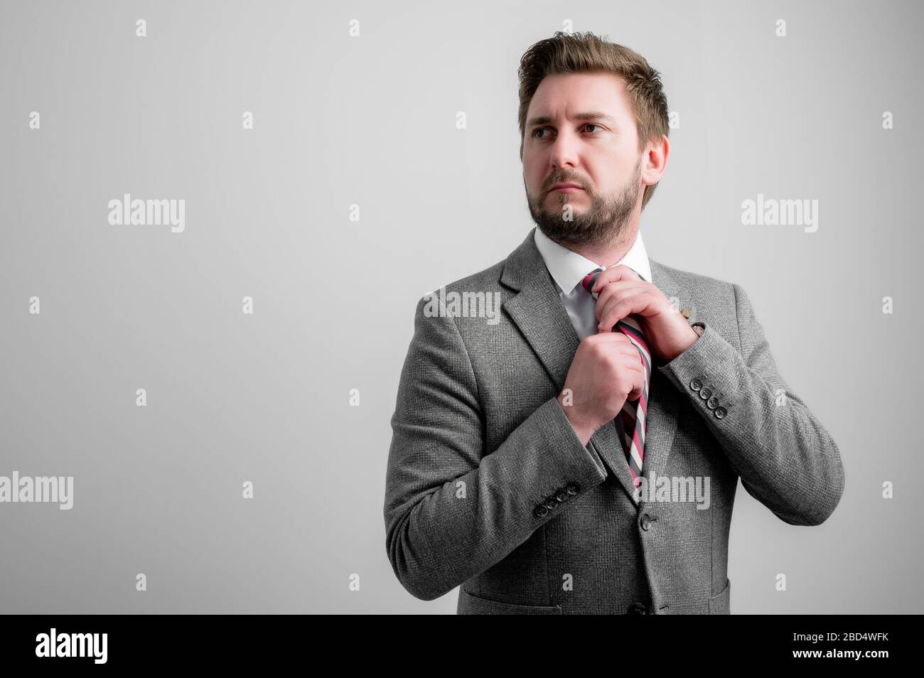 Portrait of business man arranging his tie isolated on grey background with copy space advertising area Stock Photo