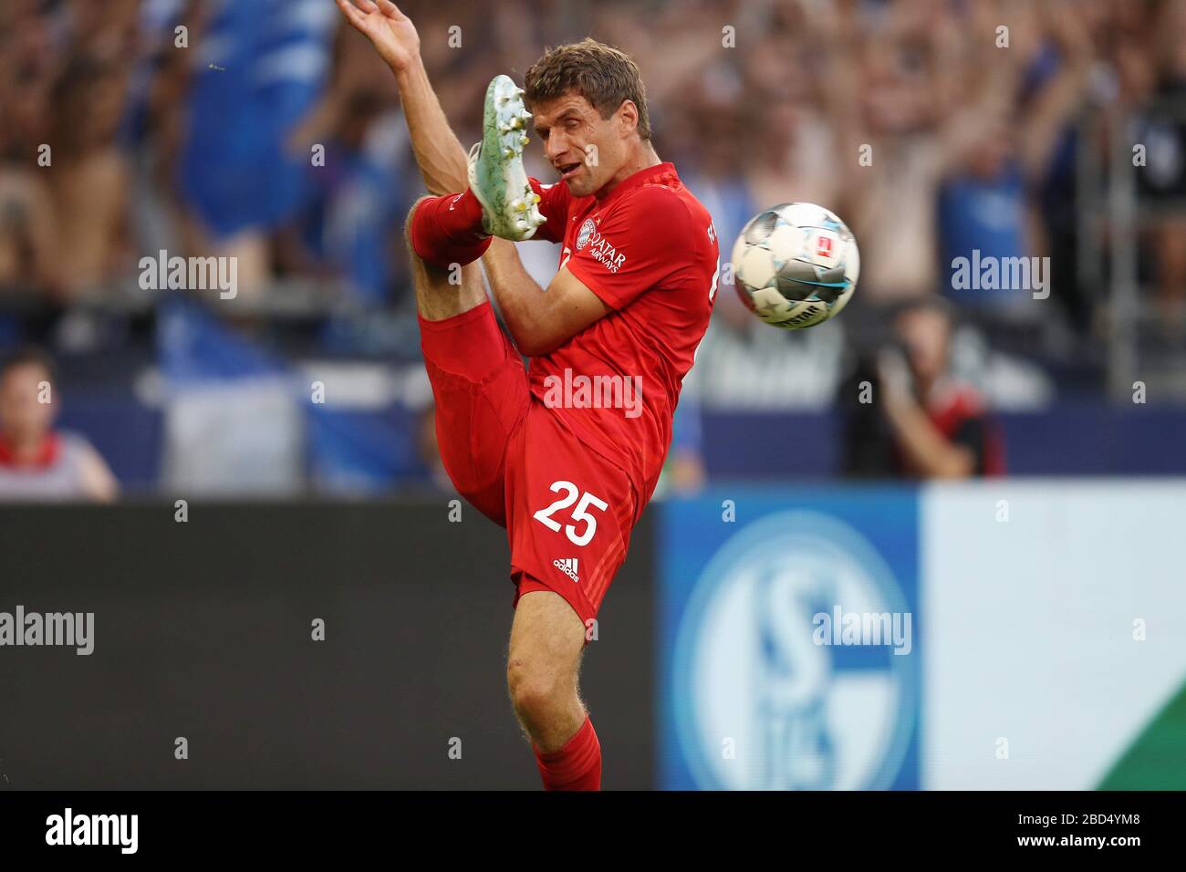 firo 24.08.2019, football, 1.Bundesliga, season 2019/2020, FC Schalke