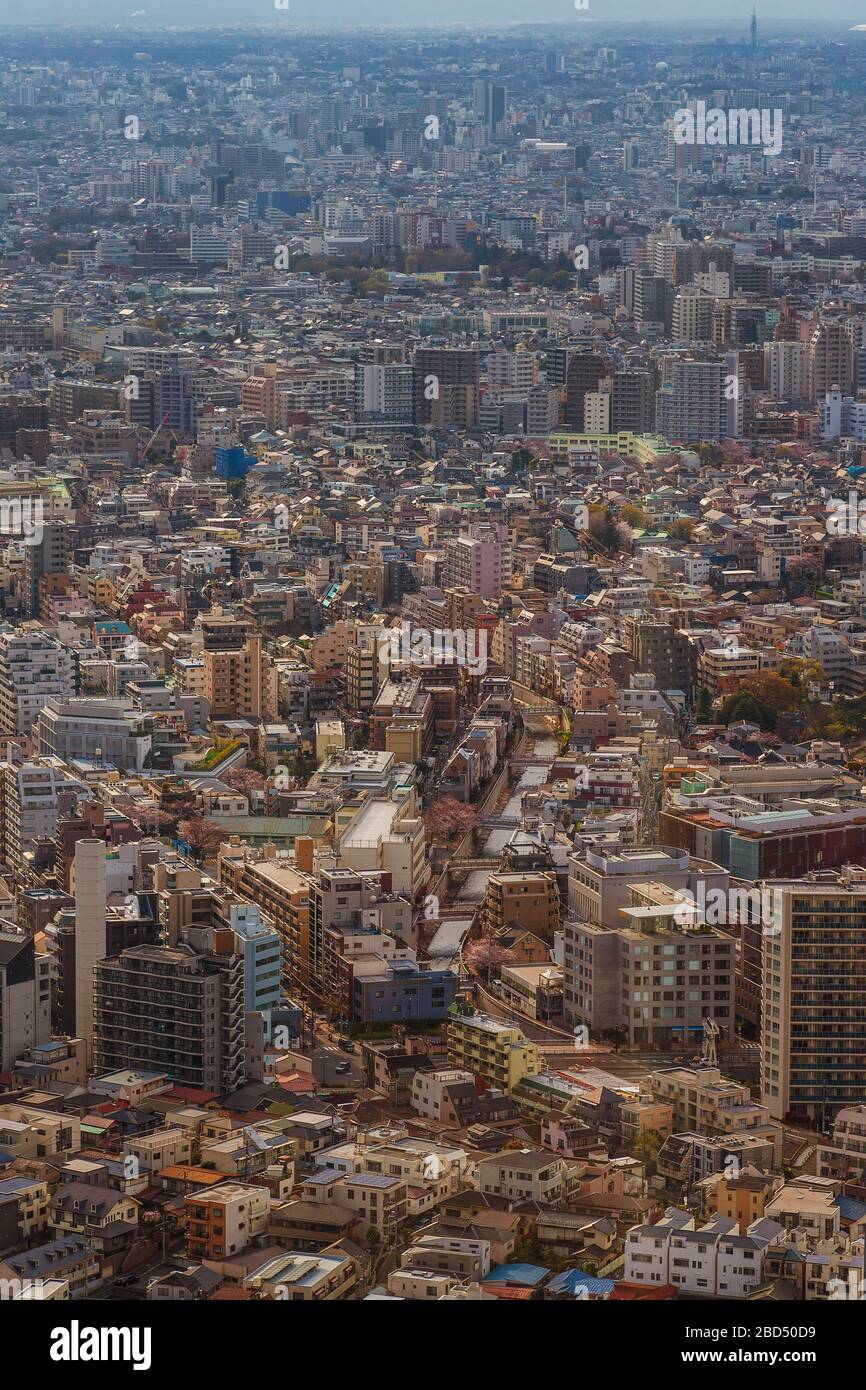 Tokyo endless suburbs, a wall of concrete buildings. View of Shinjuku, Nagano e Suginami district from above Stock Photo