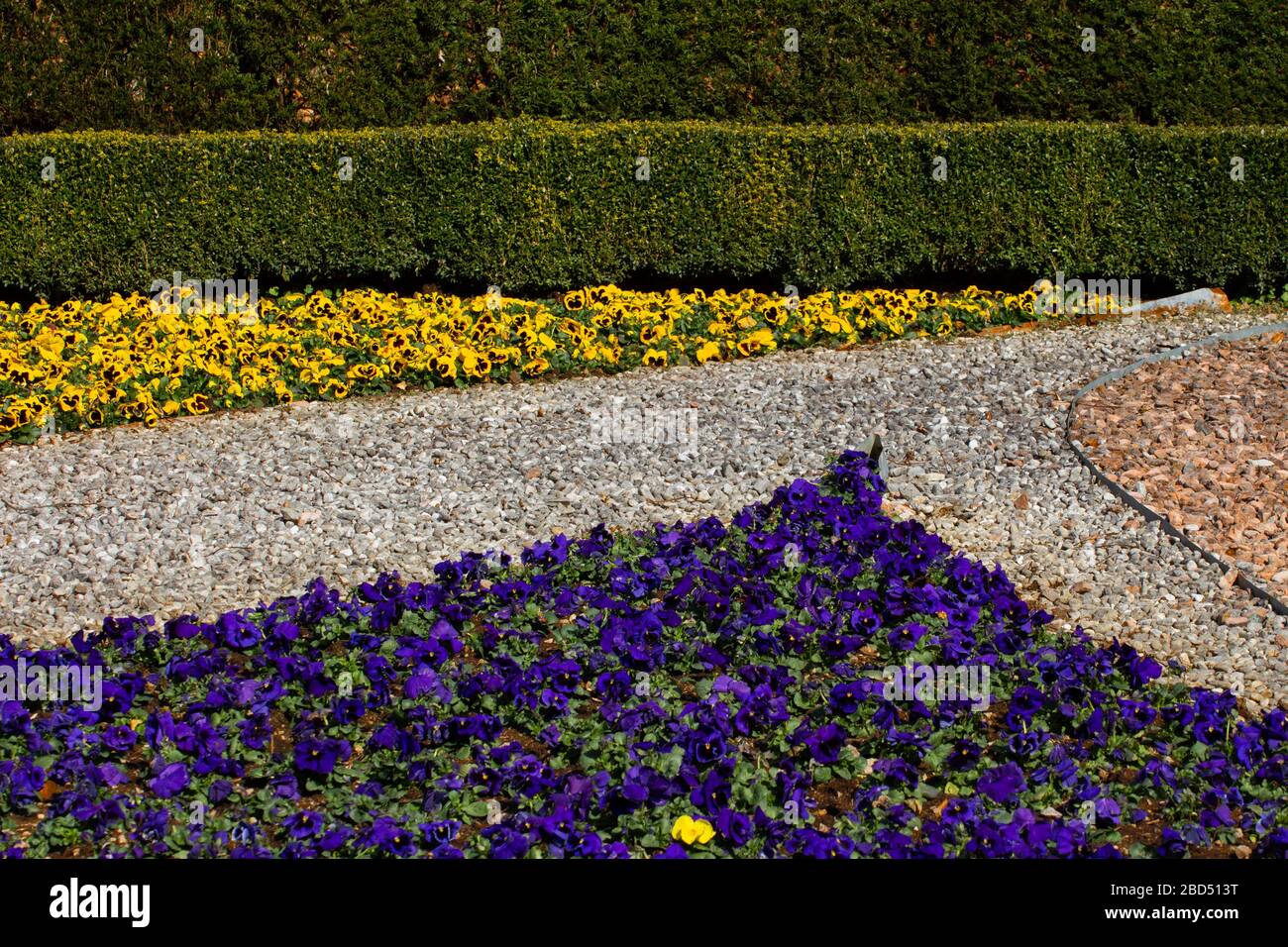 Metal edging forming a triangle separating different colors of gravel and blue and yellow pansies in a park, Viola tricolor Stock Photo