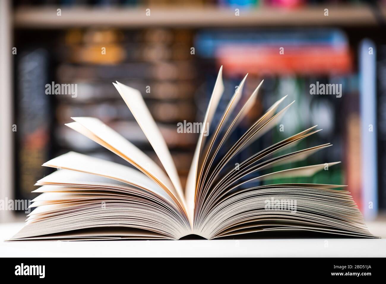 open book close up photo, blurred background Stock Photo