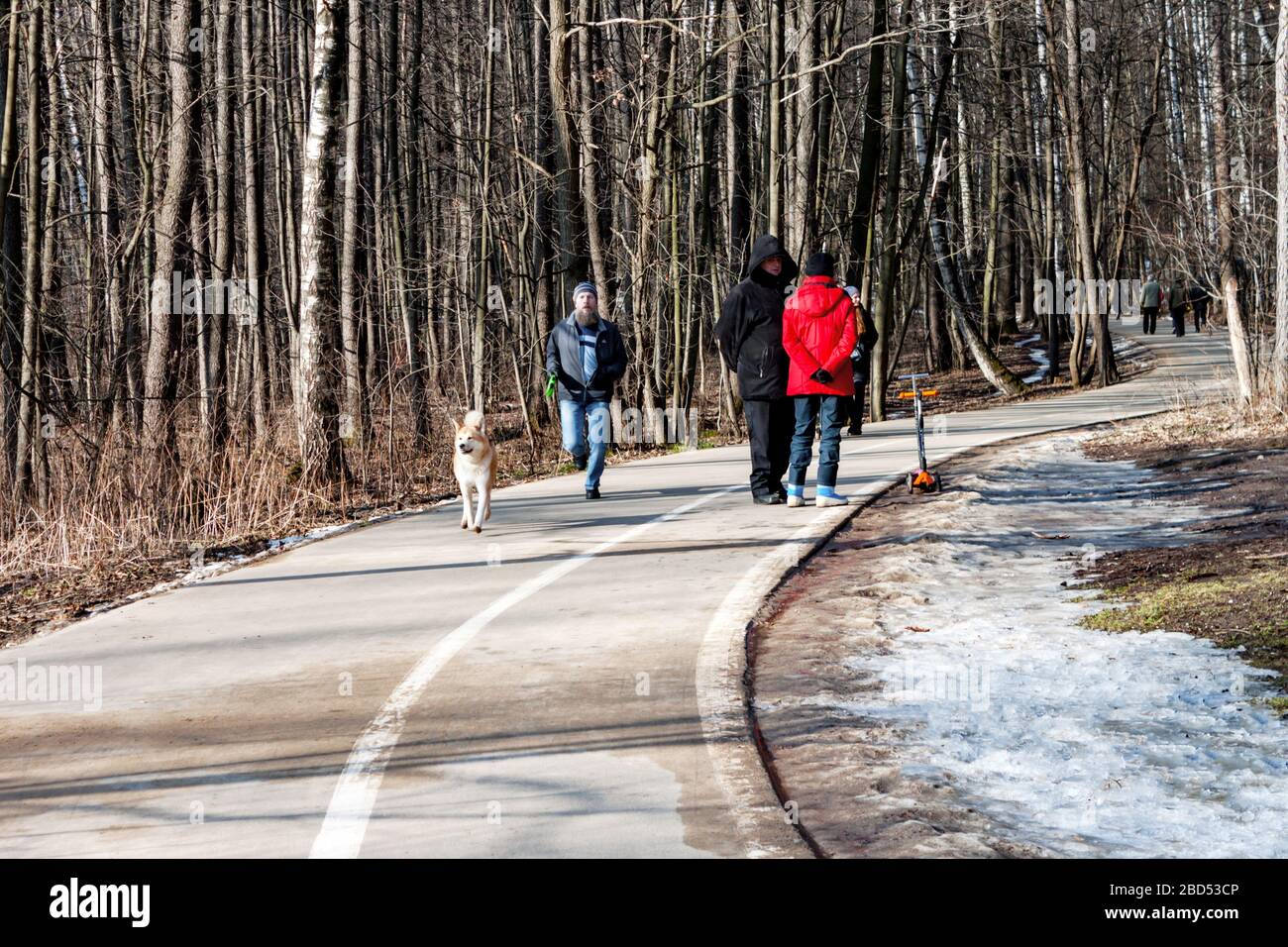 Moscow, Russia 22 February 2020: People walking in Izmailovsky park. Men running with dog. Stock Photo