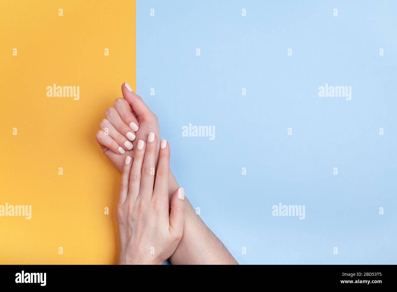 Beautiful female hands with a classic matte manicure on a blue-yellow background. Place for your text. Stock Photo