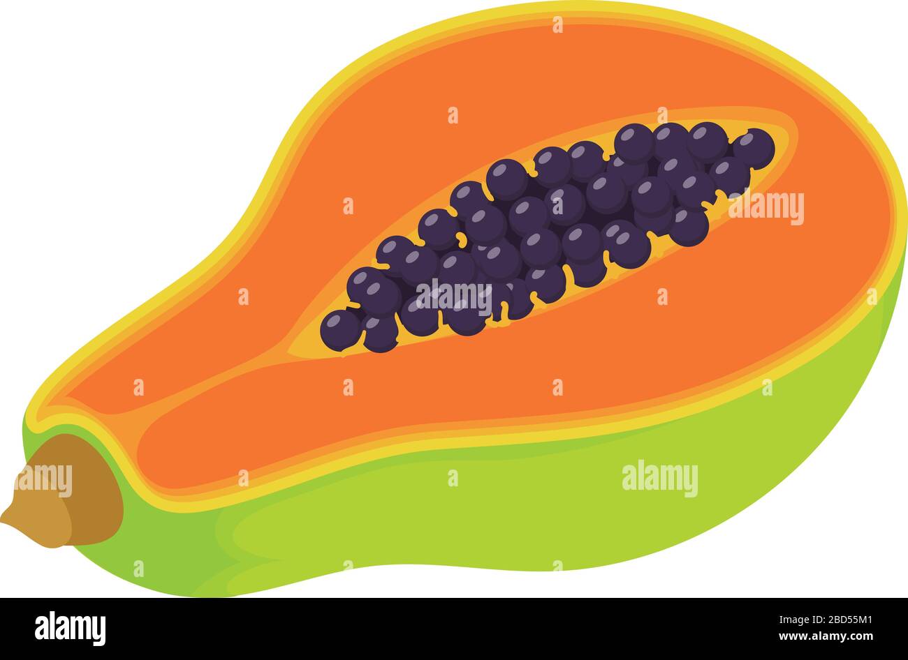 Pawpaw fruit icon. Isometric of pawpaw fruit vector icon for web design ...