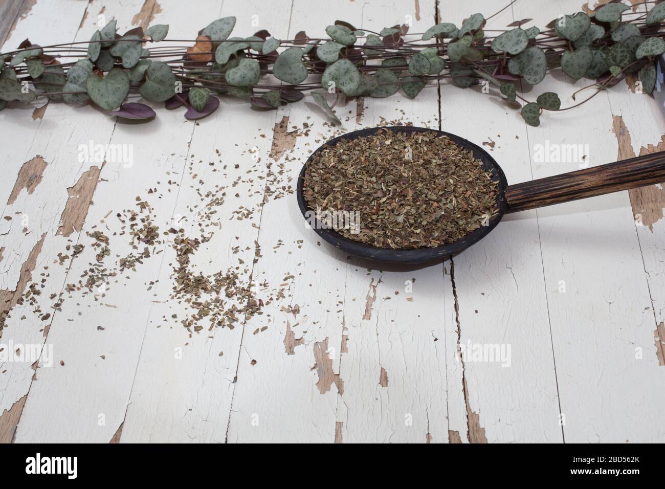 A spoon of dried basil photographed against a white rustic background Stock Photo