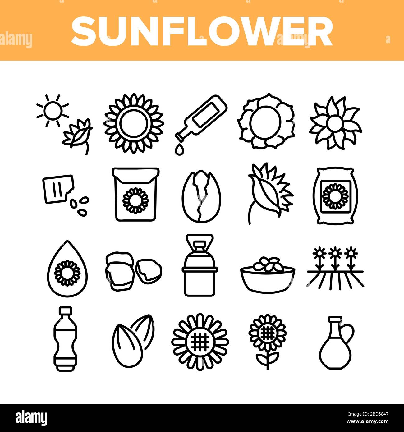 Sunflower Products Collection Icons Set Vector Stock Vector Image & Art ...
