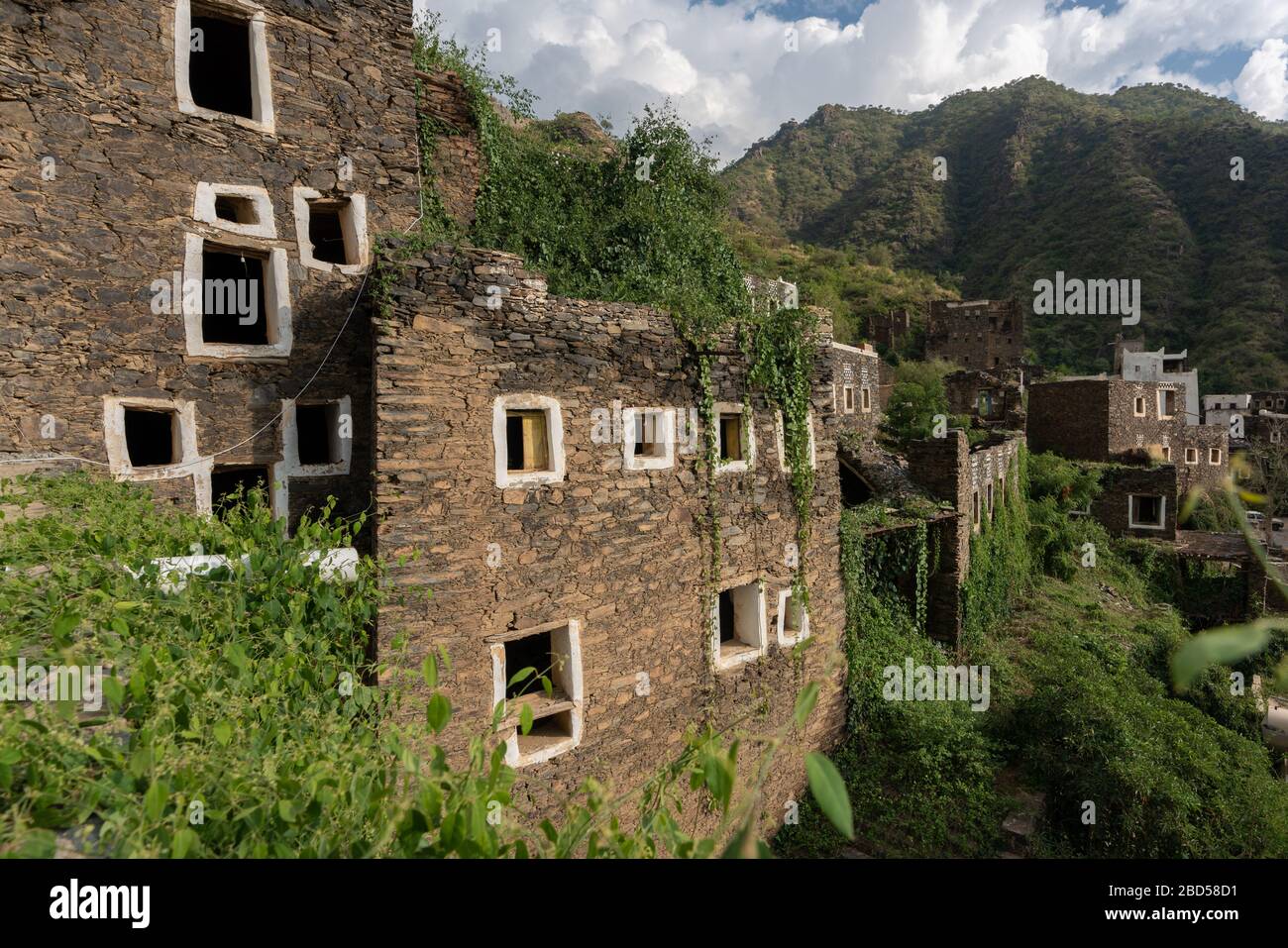 Plants on ruins of Rijal Alma historical village in Saudi Arabia Stock