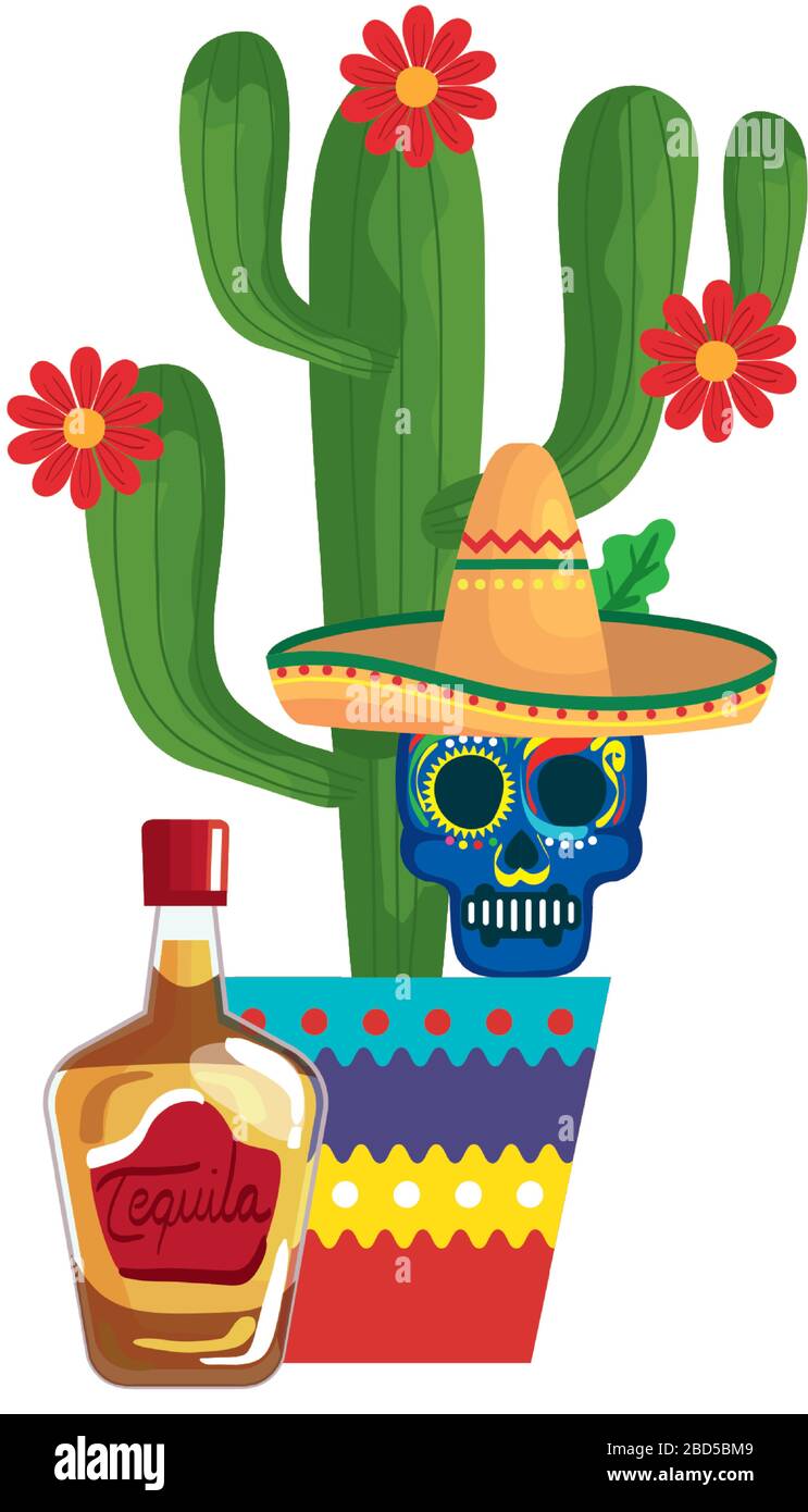 Mexican cactus tequila bottle and skull with hat vector design Stock ...