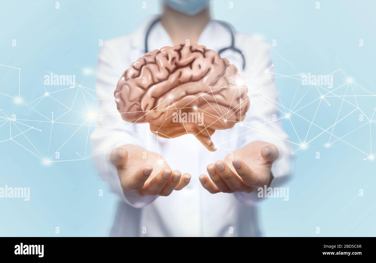 Unrecognizable female doctor holding brain with both hands Stock Photo