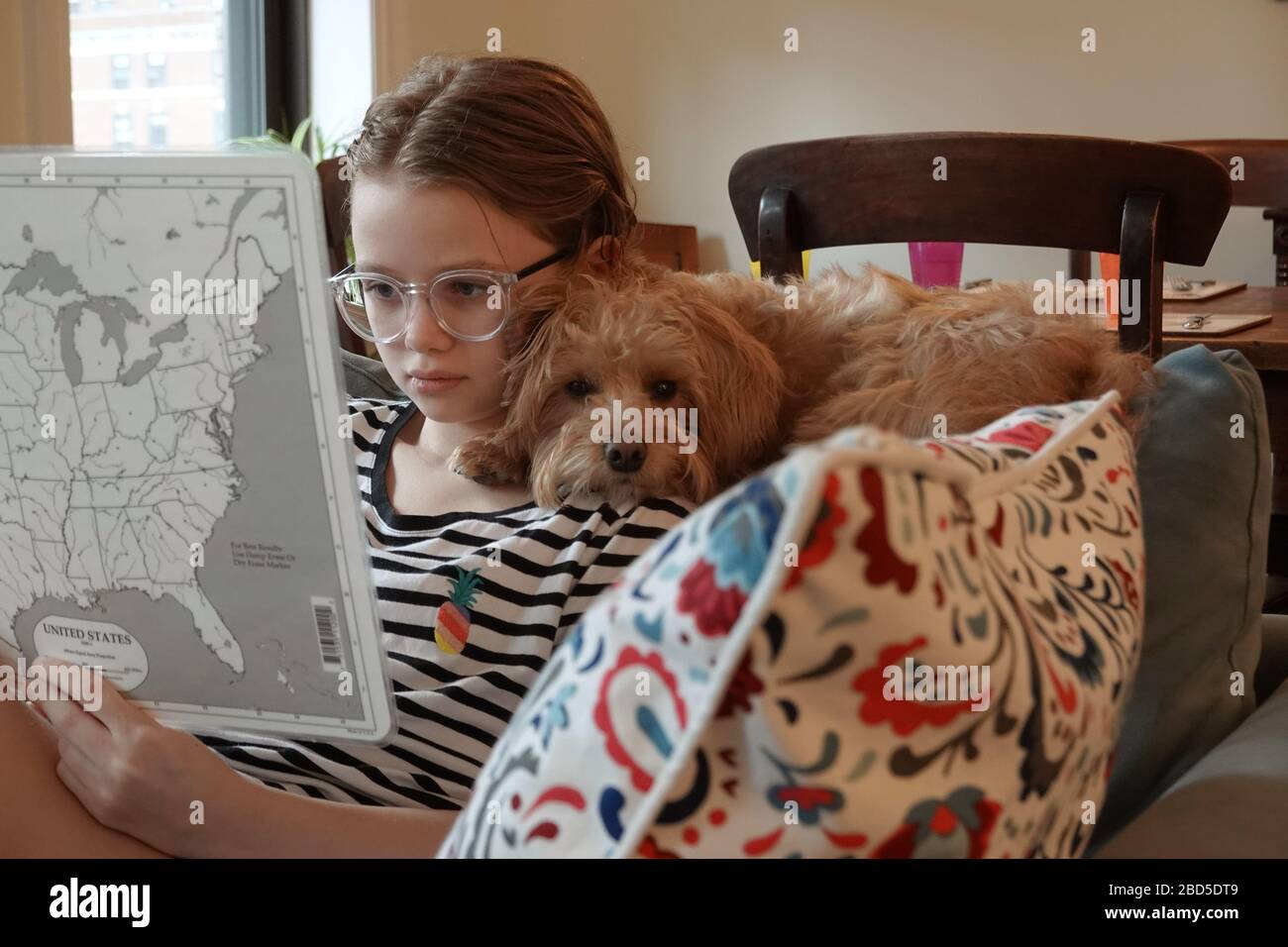 New York, USA. 2020. Schoolgirl working on schoolwork from  home with her dog a Schnoodle during the Coronavirus lockdown. Stock Photo