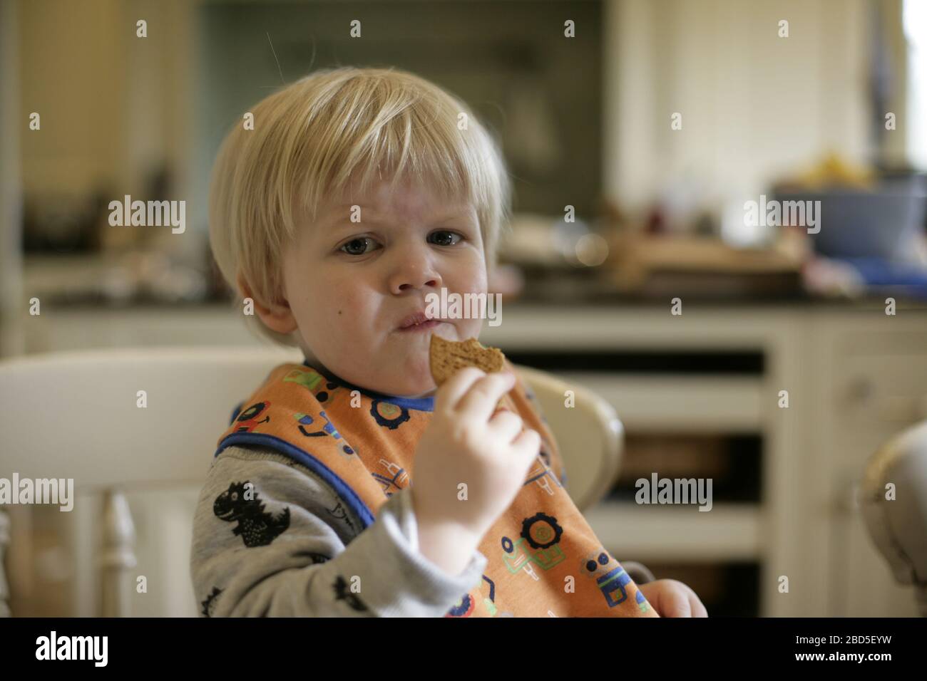 Child toddler eating home-baked biscuits whilst mum works in kitchen during period of self-isolation during the 2020 COVID-19 coronavirus pandemic Stock Photo