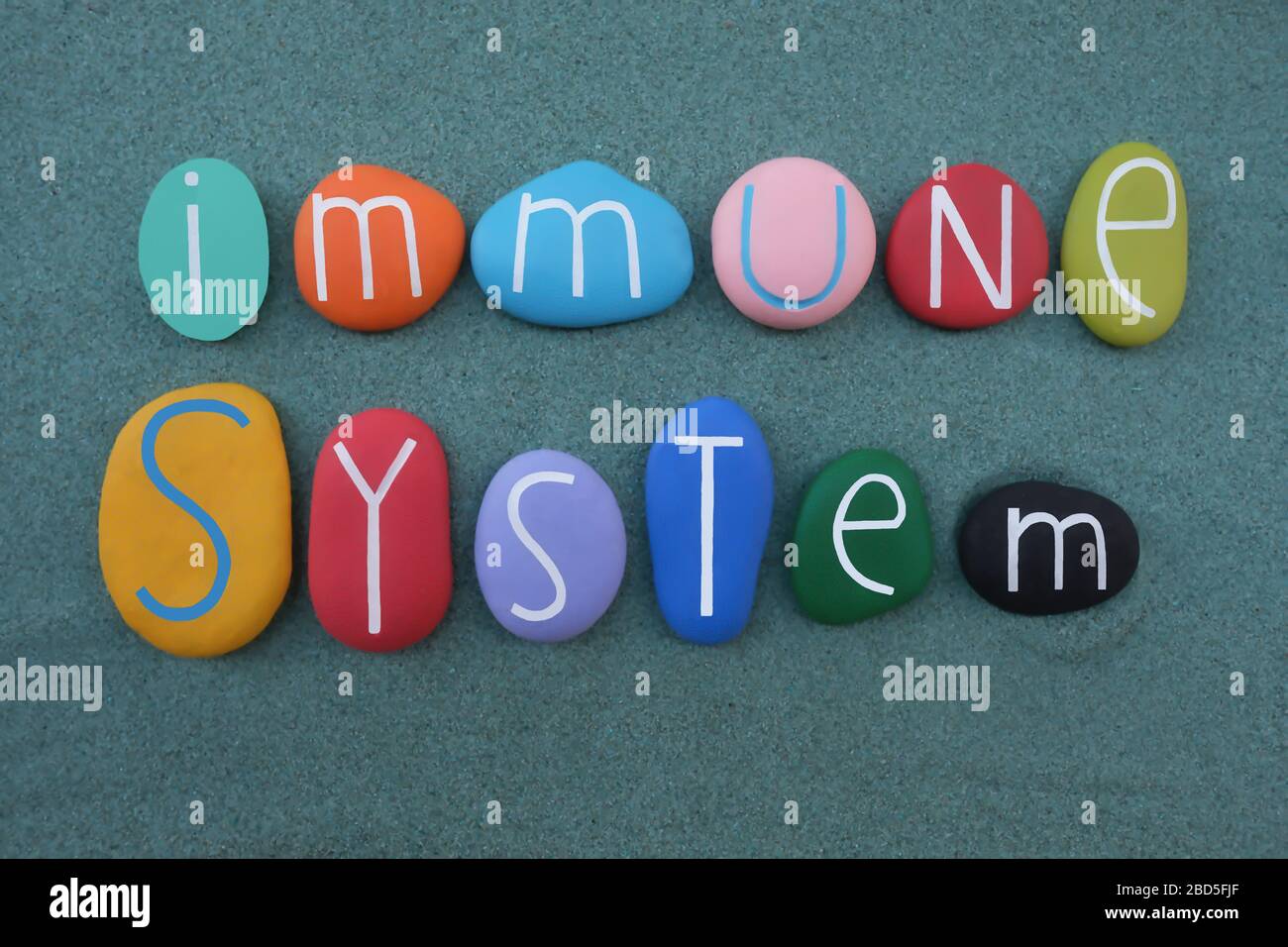 Immune System, creative text composed with multi colored stone letters over green sand Stock Photo