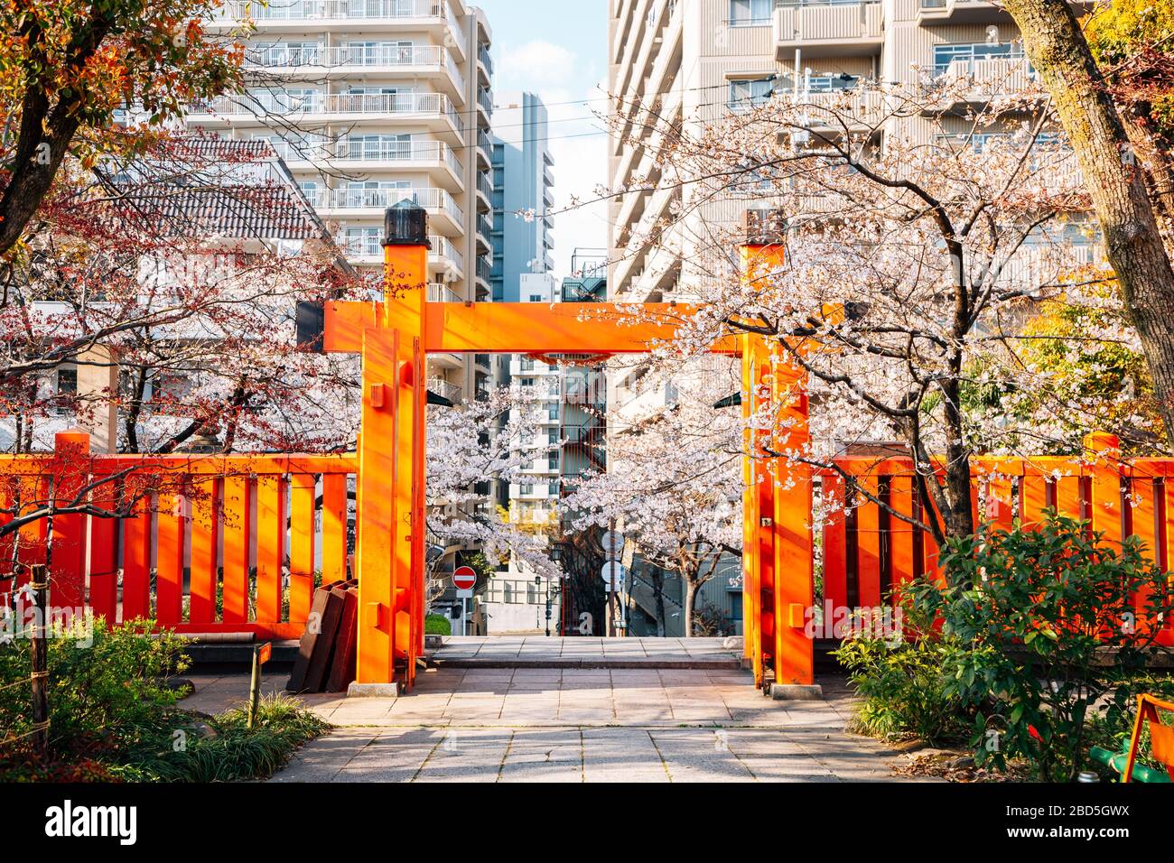 Ikukunitama Shrine And Downtown With Spring Cherry Blossoms In Osaka Japan Stock Photo Alamy