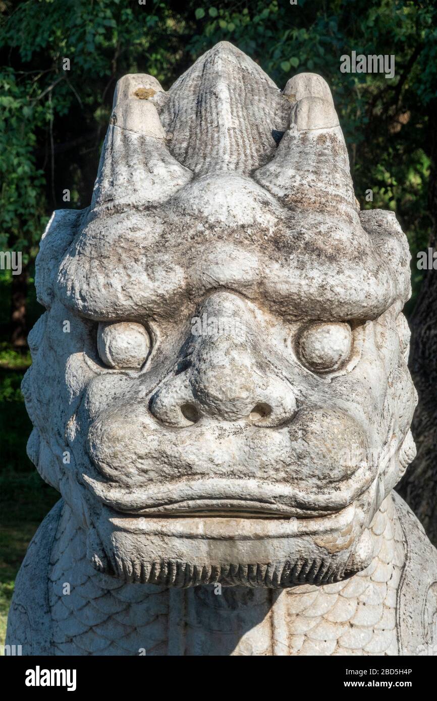 detail of head of mythological Xiezhi animal, Spirit or Sacred Way, Ming Tombs,  Changping District, Beijing, China Stock Photo