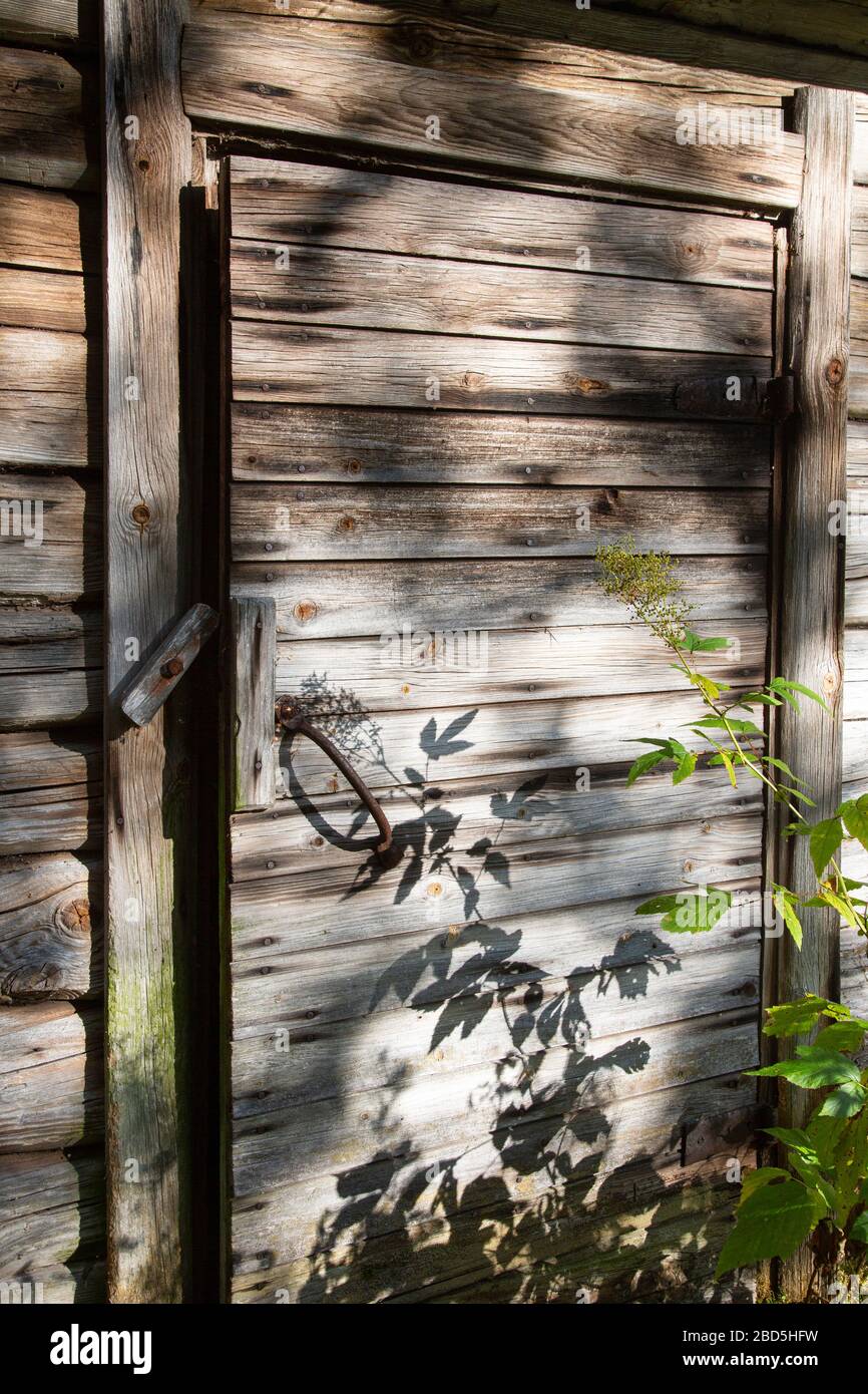 Old unpainted wooden door , Finland Stock Photo
